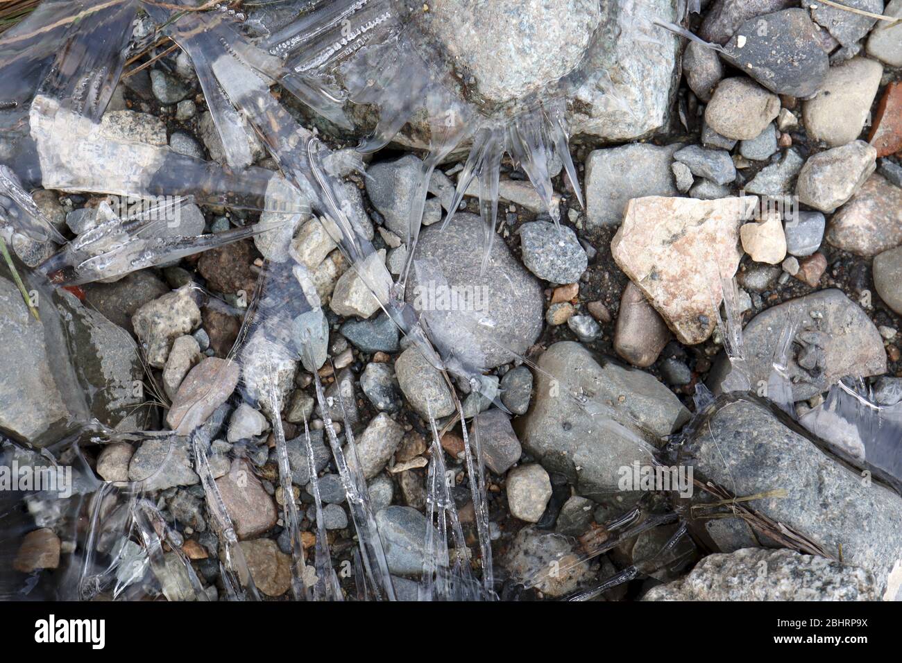 Nahaufnahme von halbtransparenten Eisnadeln und Formationen mit verschiedenen Mustern und Texturen, um farbige Felsen in einem kleinen gefrorenen Strom. Stockfoto