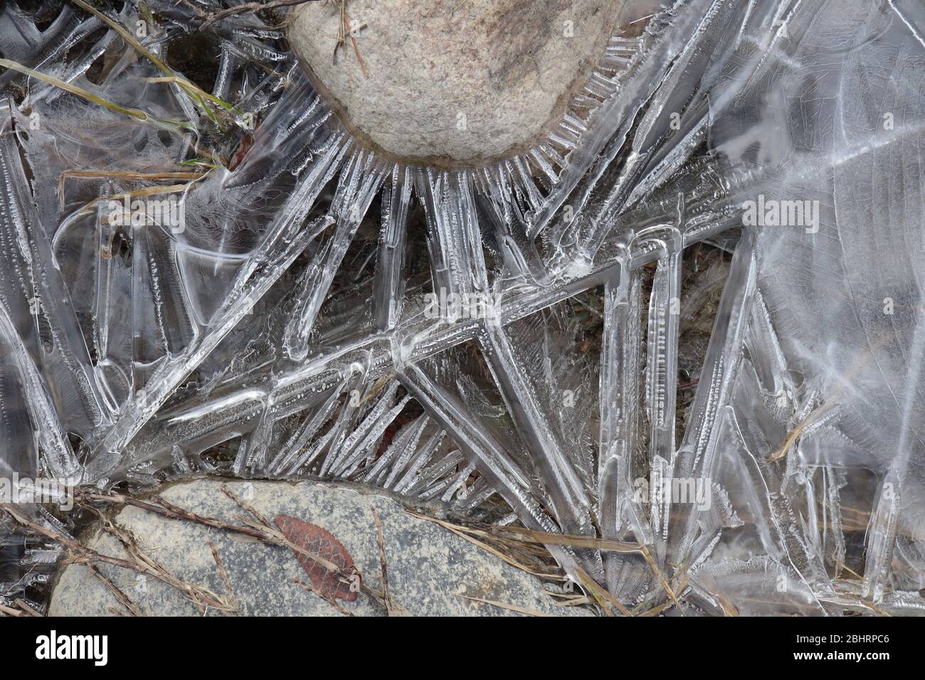 Nahaufnahme von halbtransparenten Eisnadeln und Formationen mit verschiedenen Mustern und Texturen, um farbige Felsen in einem kleinen gefrorenen Strom. Stockfoto