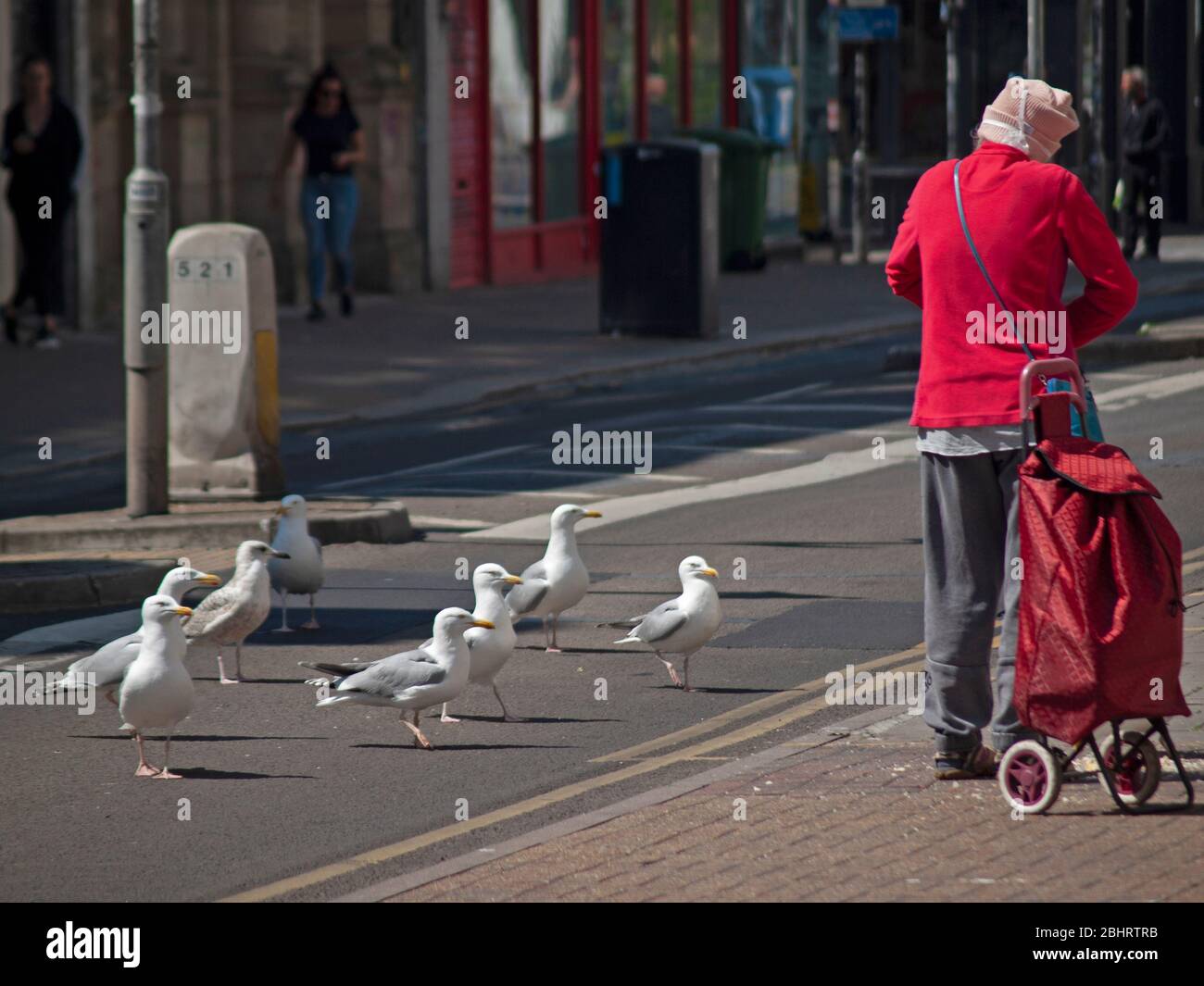 Fütterung der Möwen in Brighton während der Coronavirus-Epidemie Stockfoto
