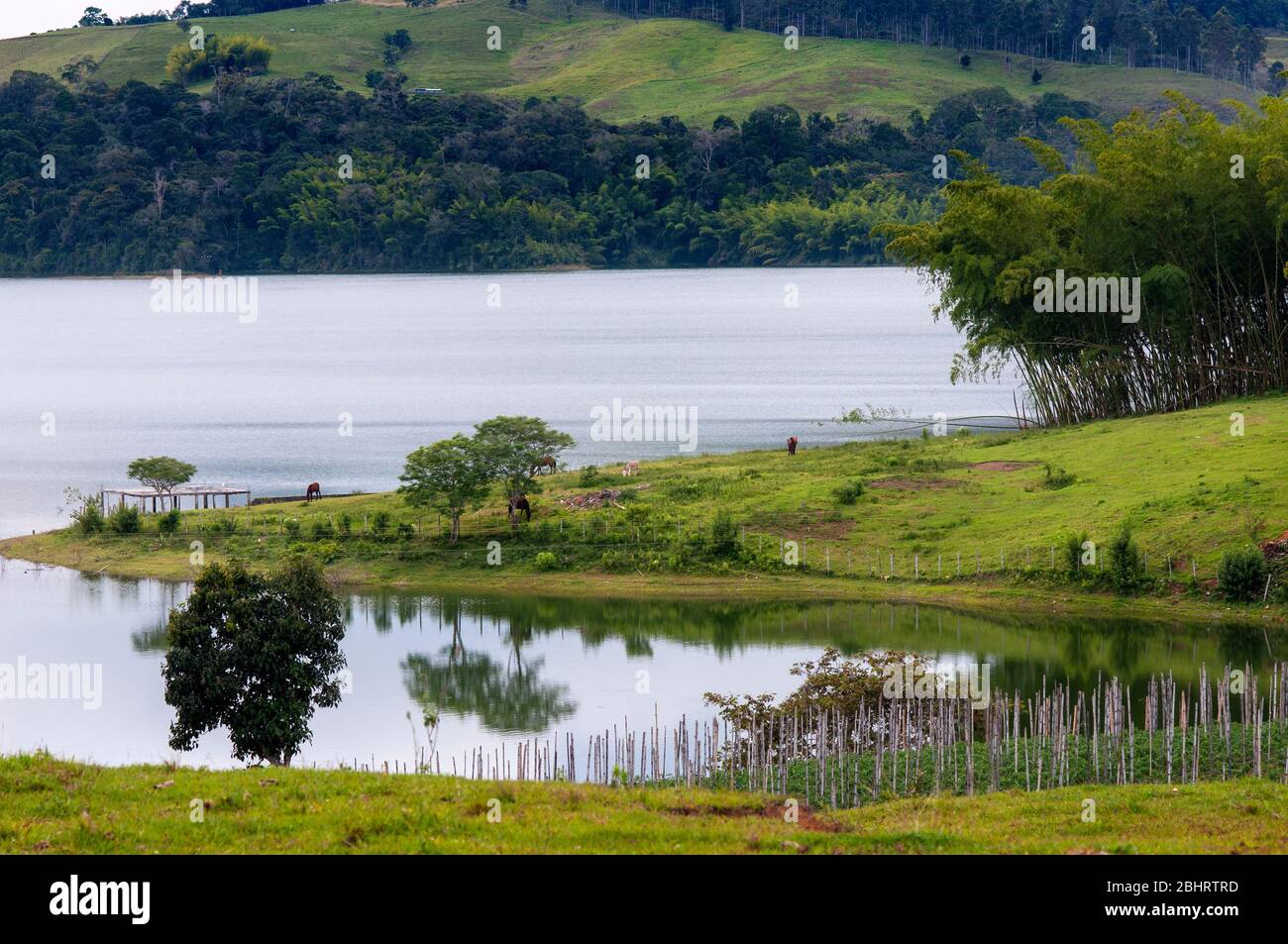 Calima See in Darien im Cauca Tal, Kolumbien, Südamerika. Calima ist der größte künstliche See in Kolumbien mit einer Fläche von 70 km2. Es ist l Stockfoto