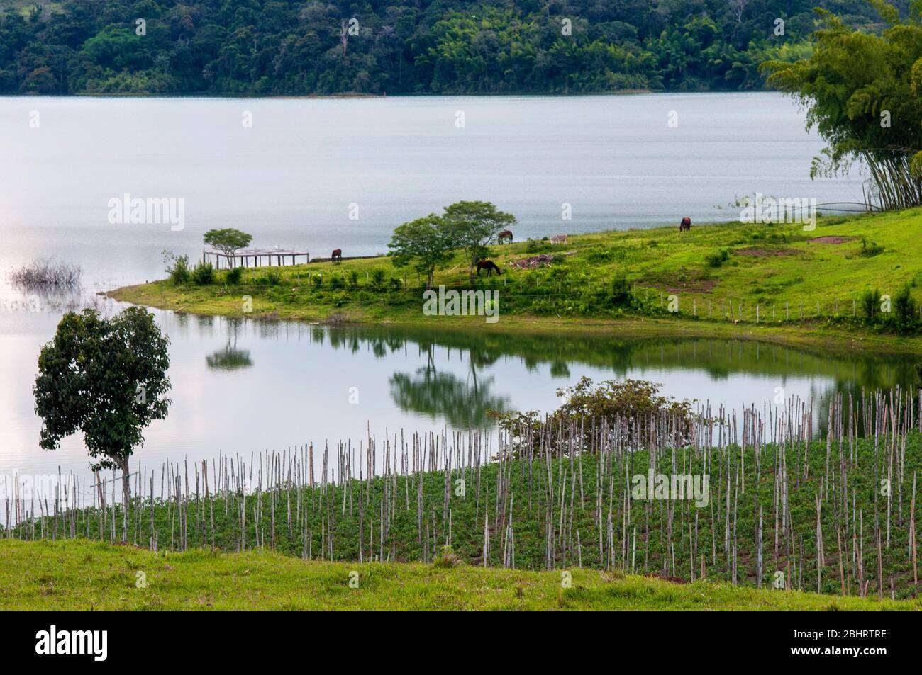 Calima See in Darien im Cauca Tal, Kolumbien, Südamerika. Calima ist der größte künstliche See in Kolumbien mit einer Fläche von 70 km2. Es ist l Stockfoto