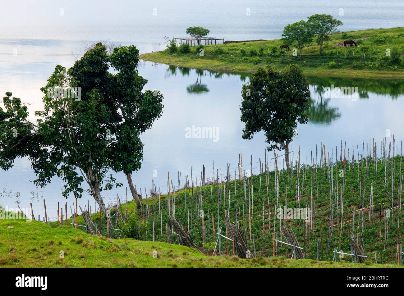Calima See in Darien im Cauca Tal, Kolumbien, Südamerika. Calima ist der größte künstliche See in Kolumbien mit einer Fläche von 70 km2. Es ist l Stockfoto