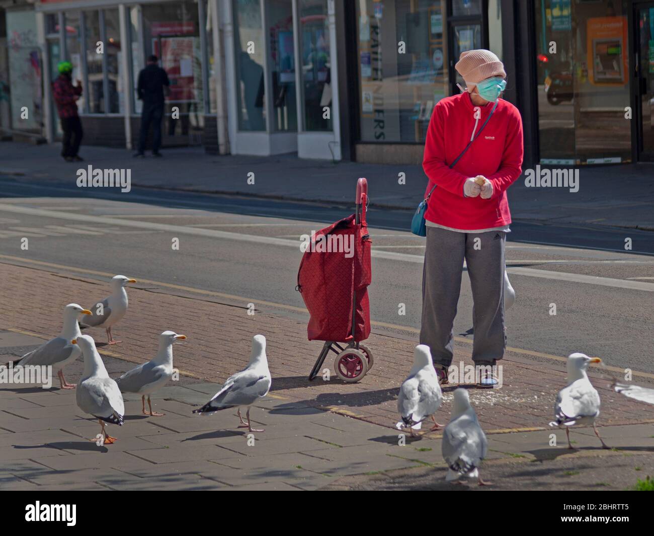 Fütterung der Möwen in Brighton während der Coronavirus-Epidemie Stockfoto