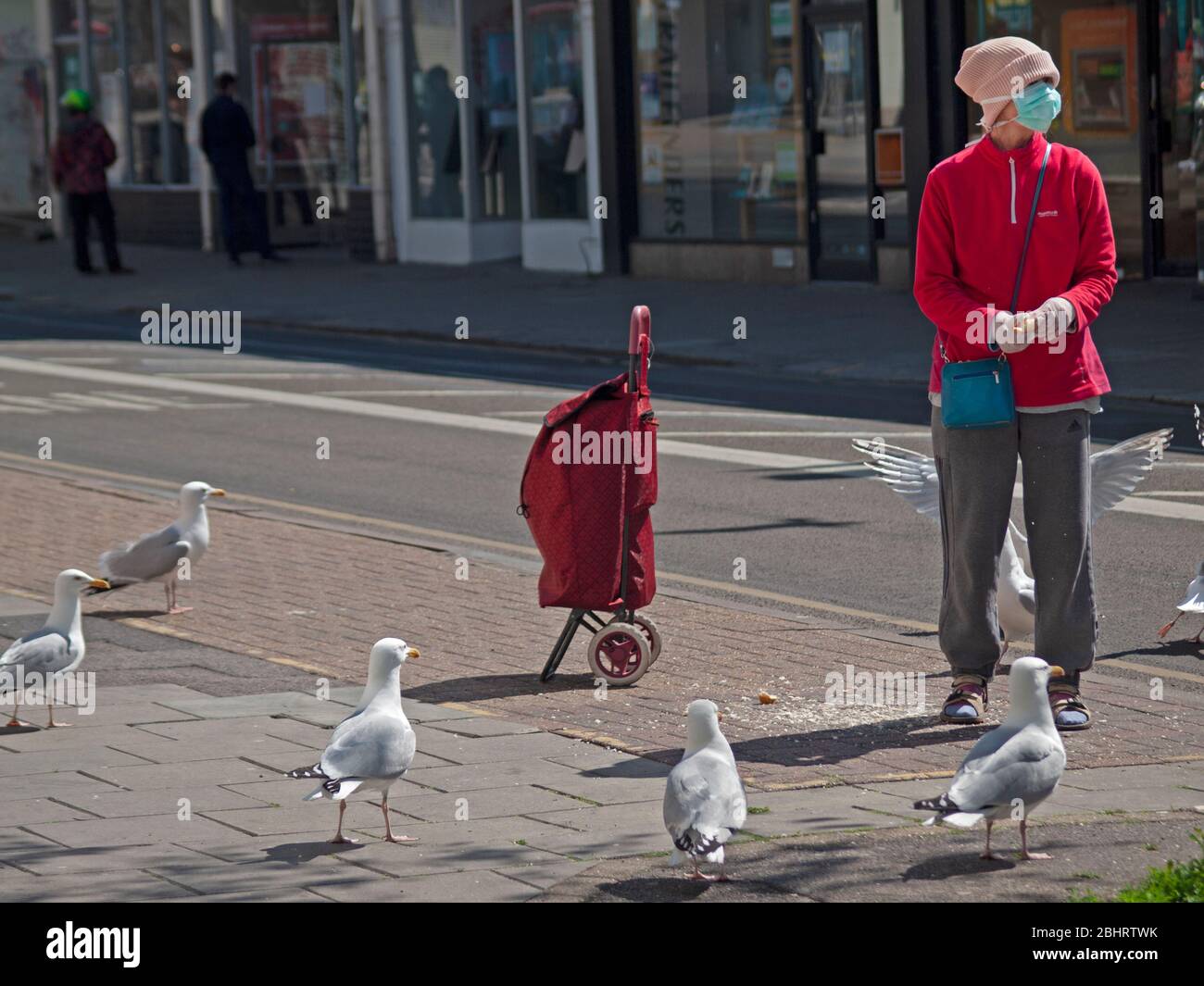 Fütterung der Möwen in Brighton während der Coronavirus-Epidemie Stockfoto