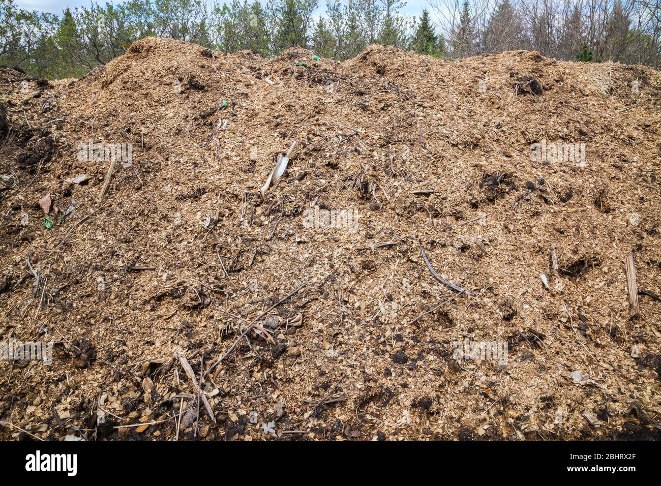 Haufen von Zweigen, Ästen, Blättern und Holzschnitzel Kompostierung Stockfoto