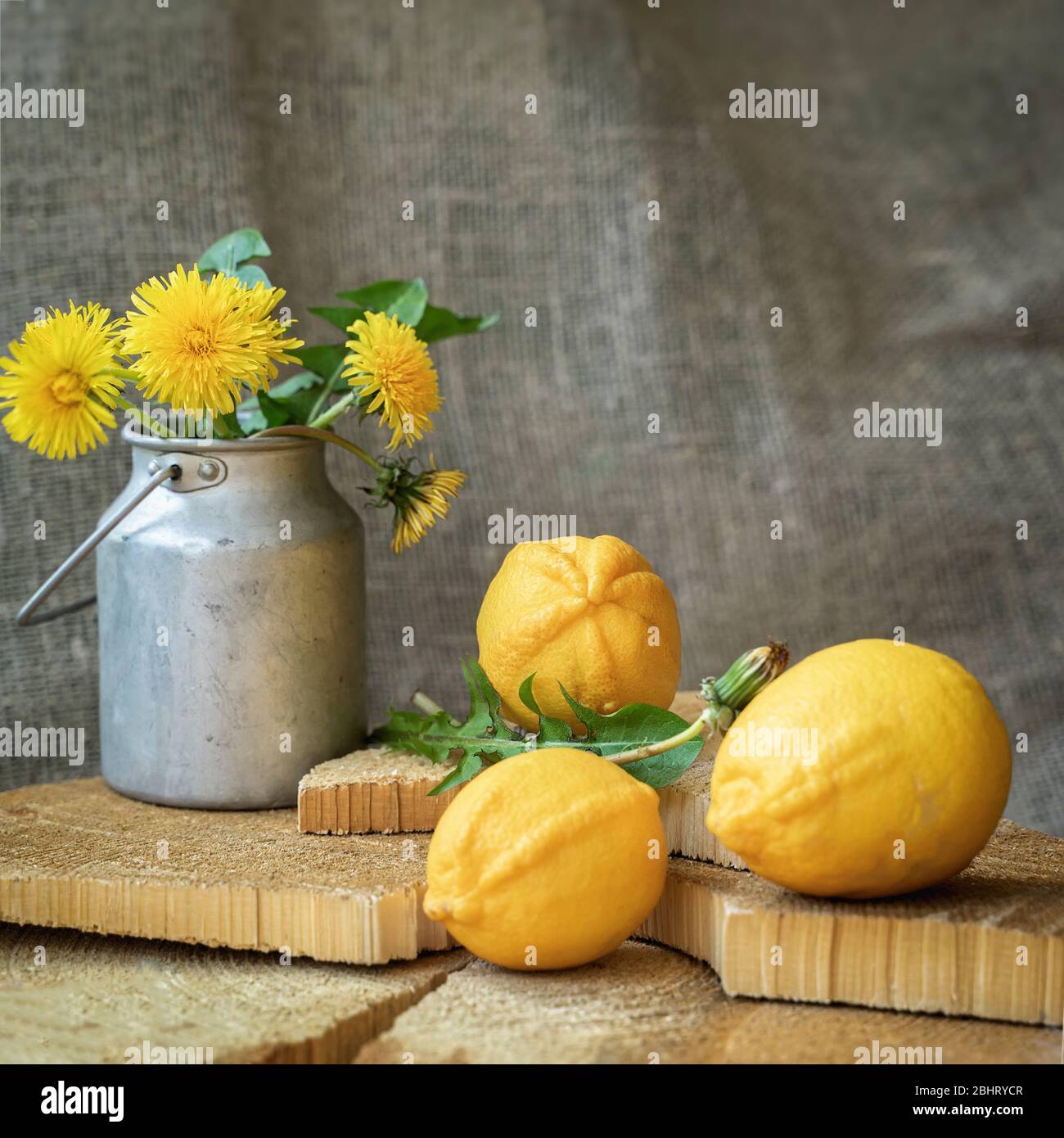 Helle Bio-Zitronen, natürliches Vitamin C und eine alte Aluminiumkiste mit Löwenzahn auf einem natürlichen Holzhintergrund, Jahrgang Stockfoto