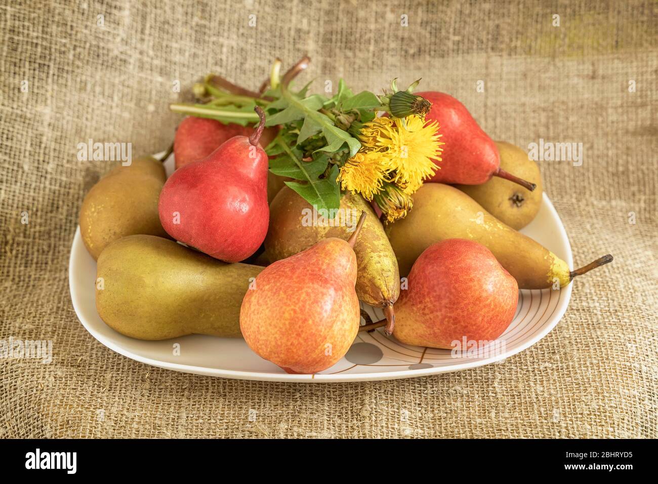 Helle Bio-rote und grüne Birnen in einem Teller auf Burlap, Löwenzahn auf der Oberseite, natürliche Frucht Hintergrund, Konzept der gesunden Ernährung Stockfoto