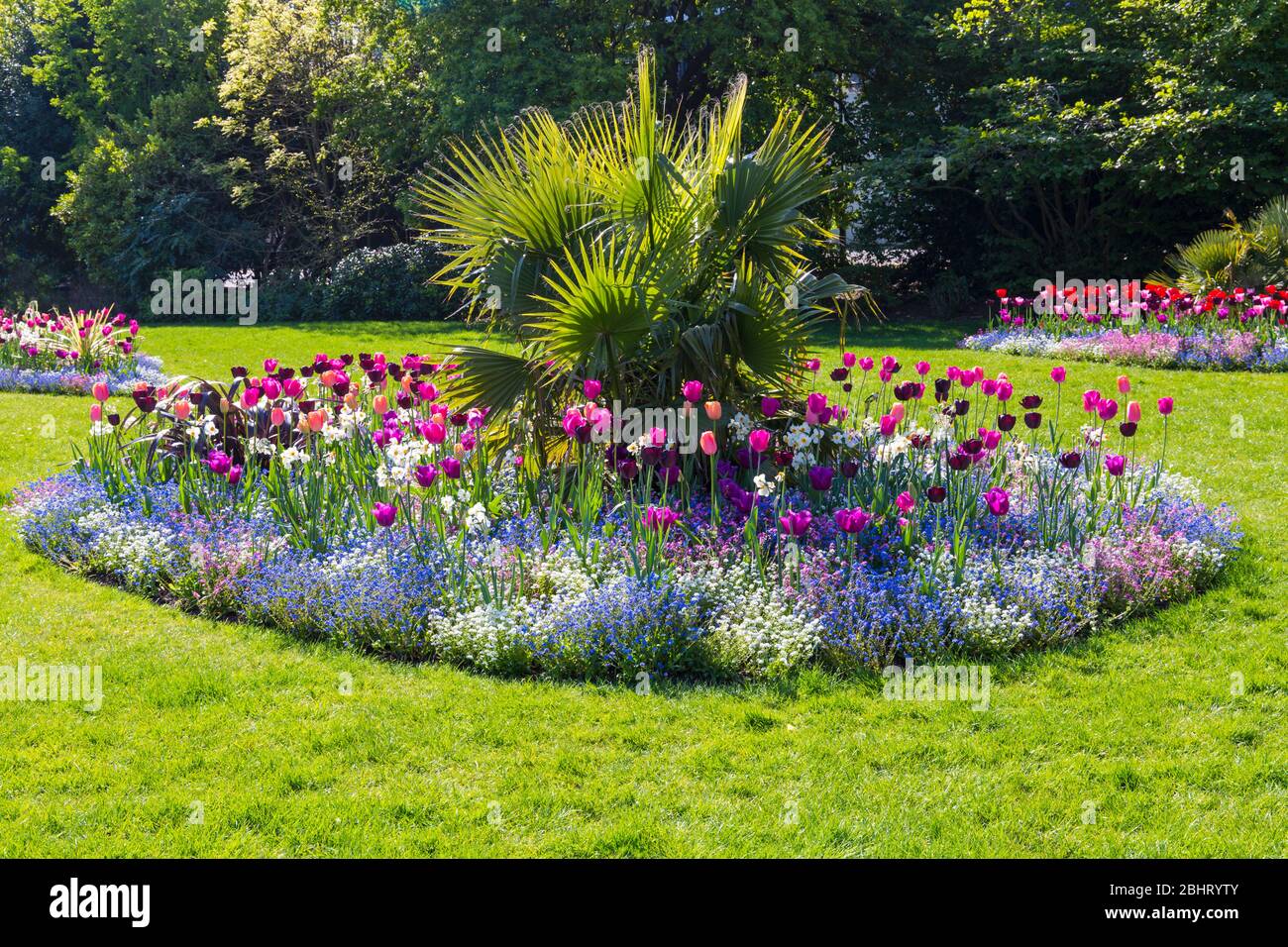 Ein Farbenreiz in Bournemouth Lower Gardens, mit bunten Blumen Tulpen und rosa blau und weiß Vergiss mich nicht in Bournemouth, Dorset UK im April Stockfoto