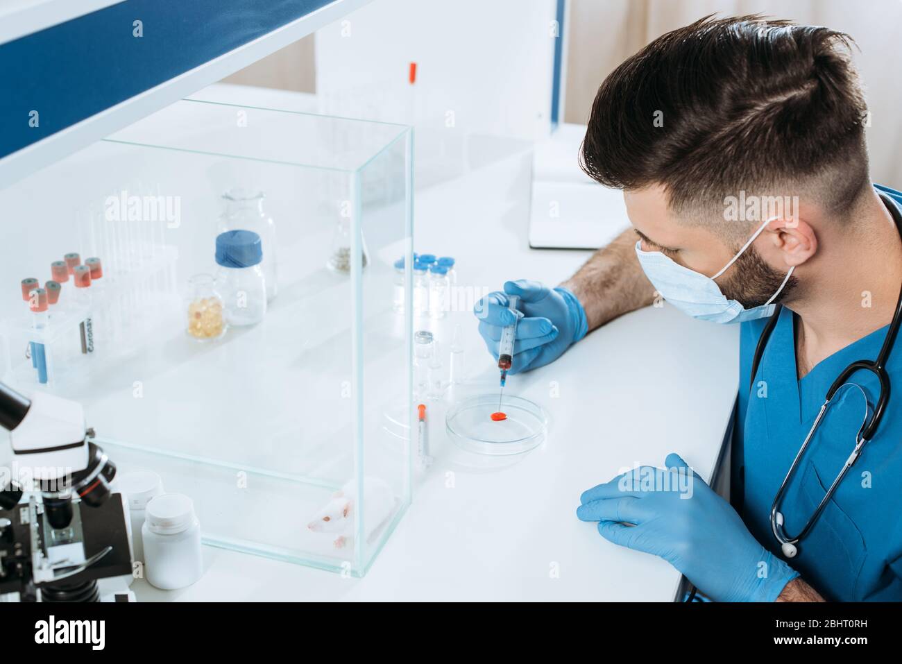 High-Winkel-Ansicht des Tierarztes in medizinischen Maske und Latexhandschuhe halten Spritze in der Nähe Petrischale mit Blutprobe, und weiße Maus in Glasbox Stockfoto