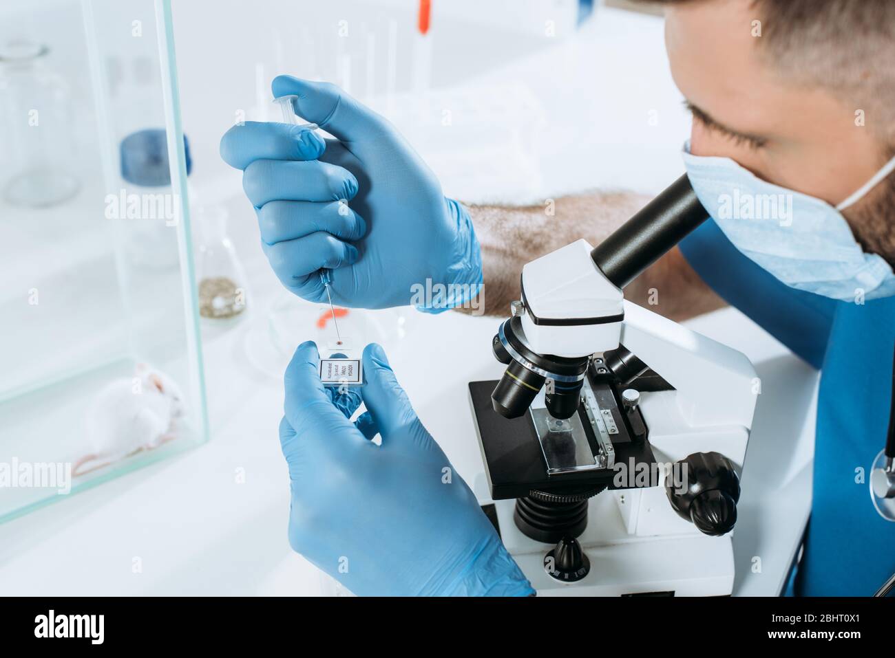 Junge Biologin in medizinischen Maske und Lates Handschuhe halten Spritze während der Analyse mit Mikroskop in der Nähe der weißen Maus in Glasbox Stockfoto