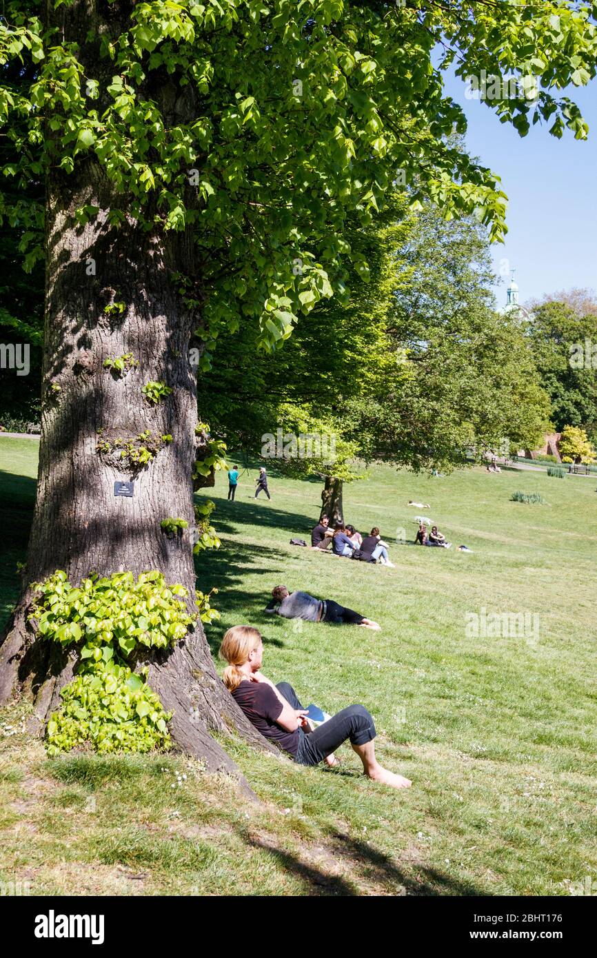 Menschen entspannen und sonnen sich im Park, beobachten soziale Distanz, während der Coronavirus Pandemie gesperrt, London, Großbritannien Stockfoto