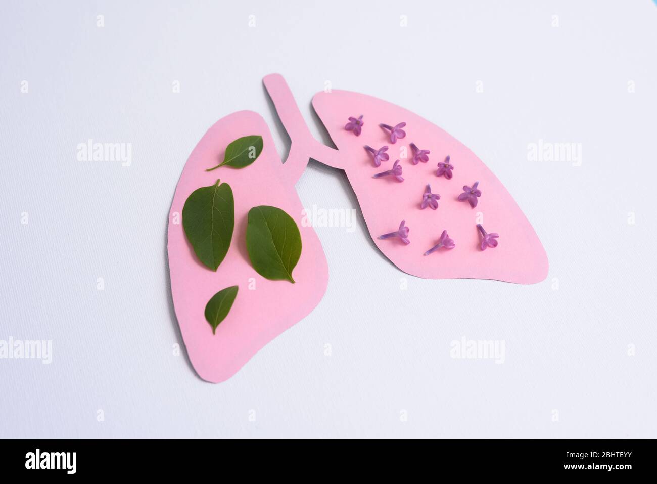 Rosa Papier Lungen mit Blumen und Blättern auf dem weißen Hintergrund. Minimal Papier Art. Coronavirus Covid 19 Konzept. Welttuberkulosetag oder Welthund LUN Stockfoto