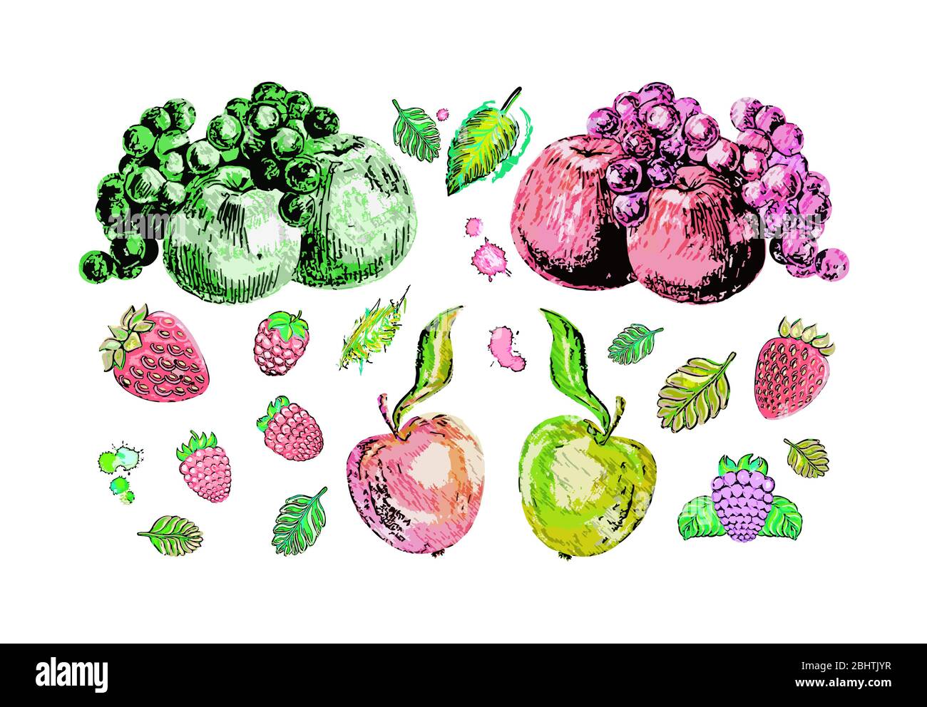 Handgezeichnete Illustrationen von Früchten, Beeren mit grünen Blättern. Früchte im Skizzenstil. Äpfel, Trauben, Himbeere, Erdbeere, Brombeere. Stockfoto