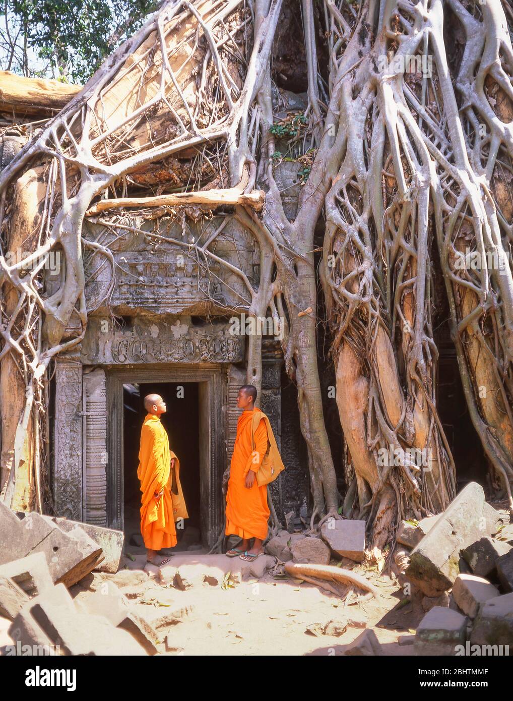 Mönche stehen an den Wurzeln des Spung Baumes, Ta Prohm, Siem Reap, Königreich Kambodscha Stockfoto