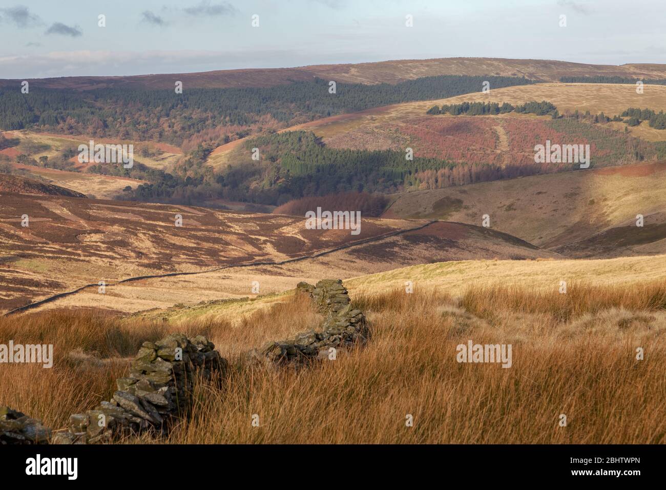 Das Upper Goyt Valley zwischen Buxton und Macclesfield im Peak District, im Quellgebiet des Mersey Basin Stockfoto