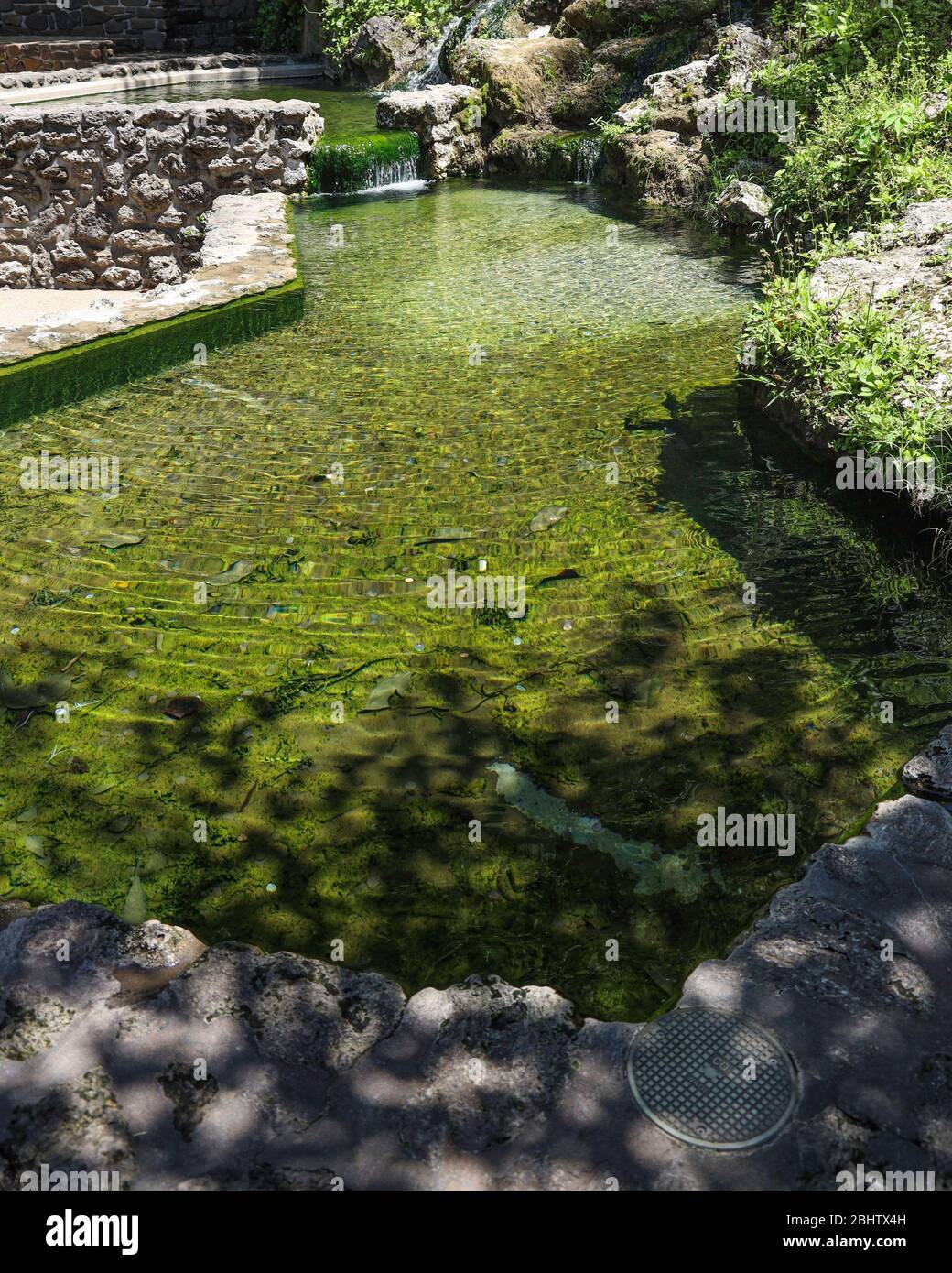 Heißes Becken mit heißem Quellwasser in der Stadt Hot Springs, Arkansas, USA Stockfoto