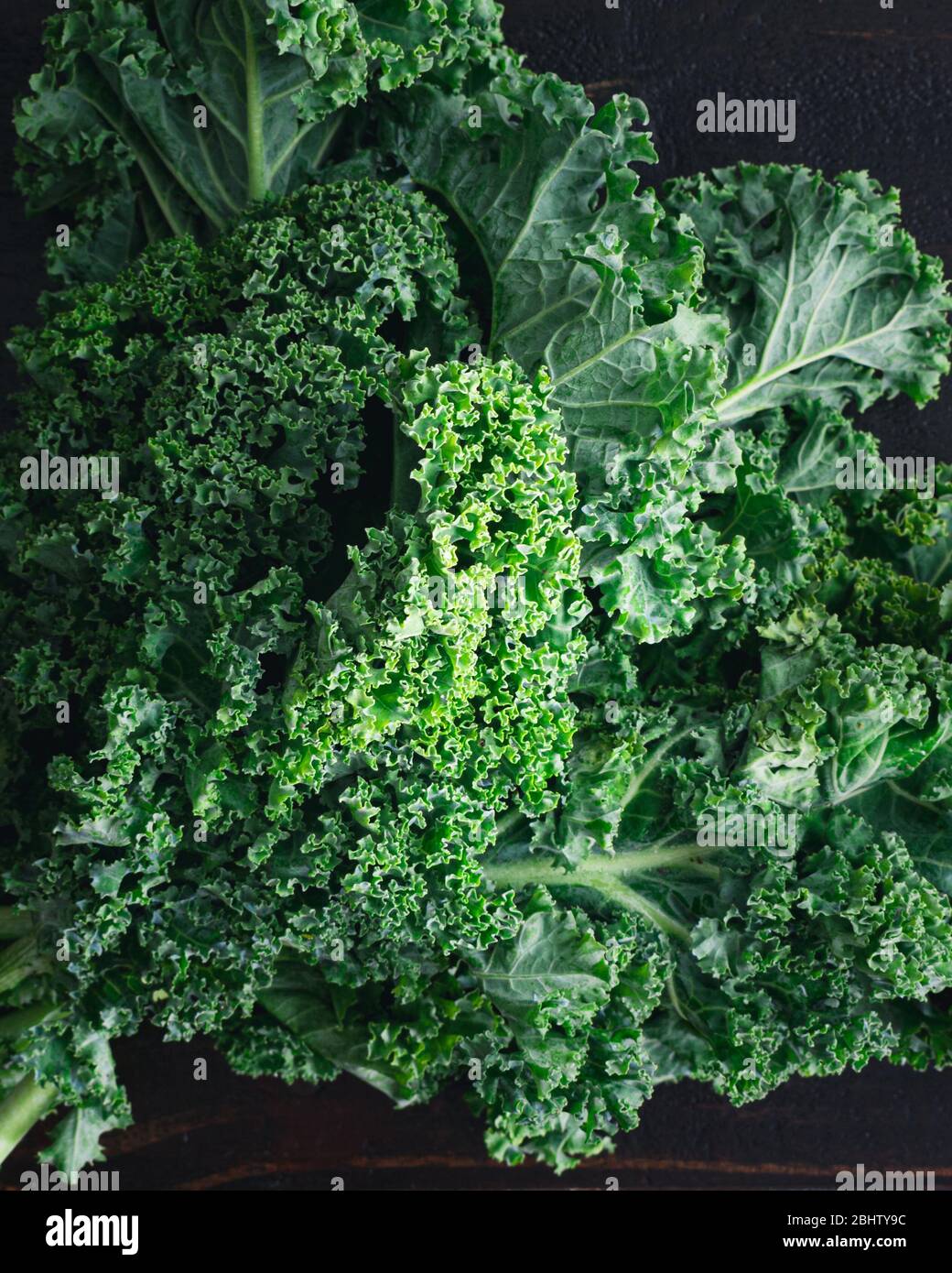 Nahaufnahme von Curly-Kale-Blättern: Nahaufnahme von Curly-Kale-Blättern auf dunklem Hintergrund Stockfoto
