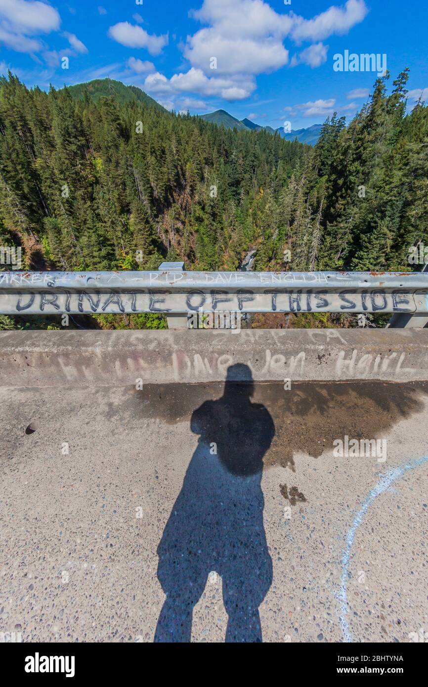 Blick hinunter auf den South Fork Skokomish River von der High Steel Bridge, die ursprünglich für den Holzbau von Zügen gebaut wurde, im Olympic National Forest, Washington State, USA Stockfoto
