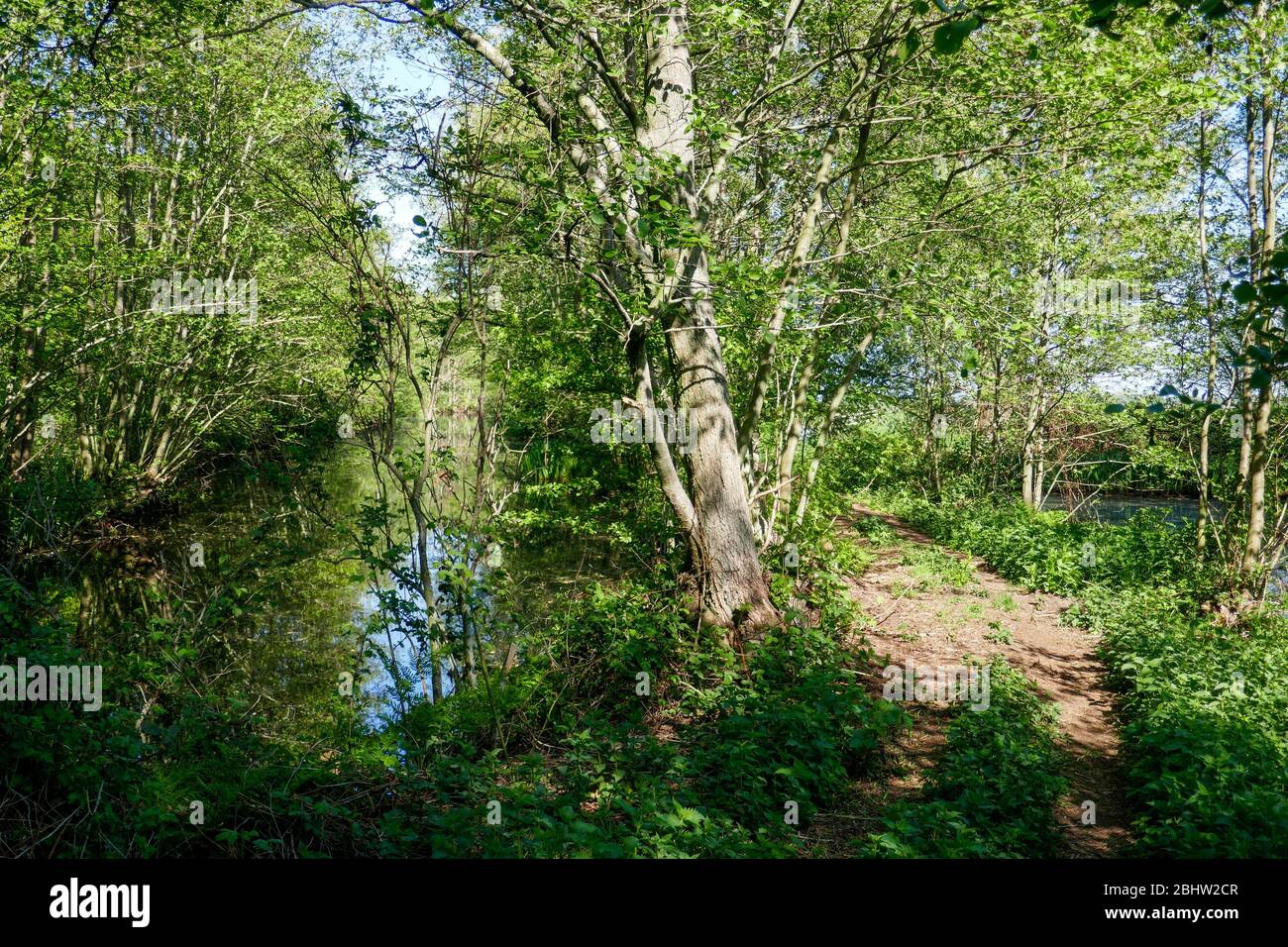 Wasserreiche Landschaft und historische Ackerland 'het groene hart' im Westen der Niederlande Stockfoto