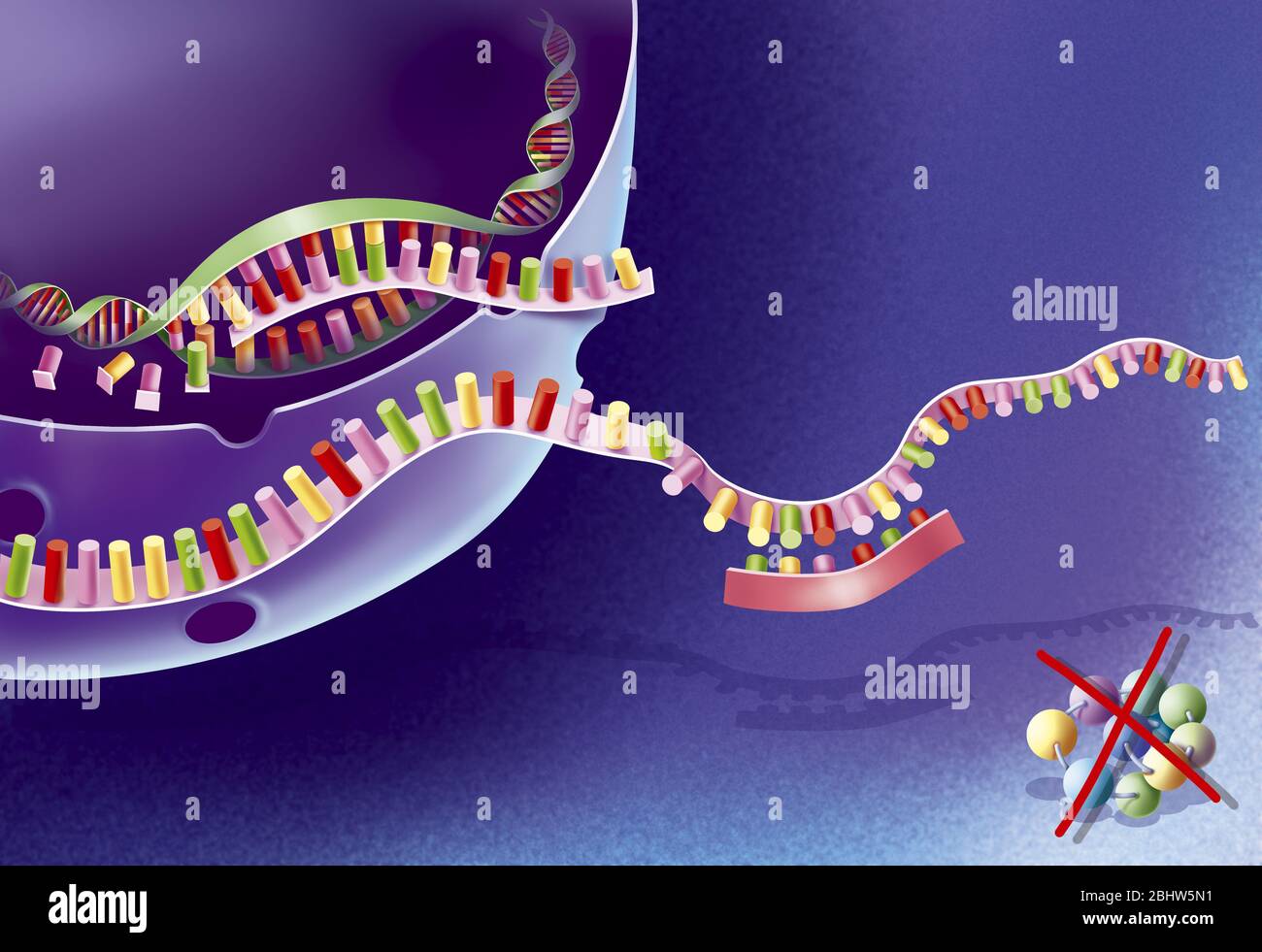 Antisense-Therapie, Behandlung gegen genetische Krankheiten. Diese Therapie ist die Behandlung gegen genetische Krankheiten und Infektionen. Es besteht in der Unterbrechung Stockfoto