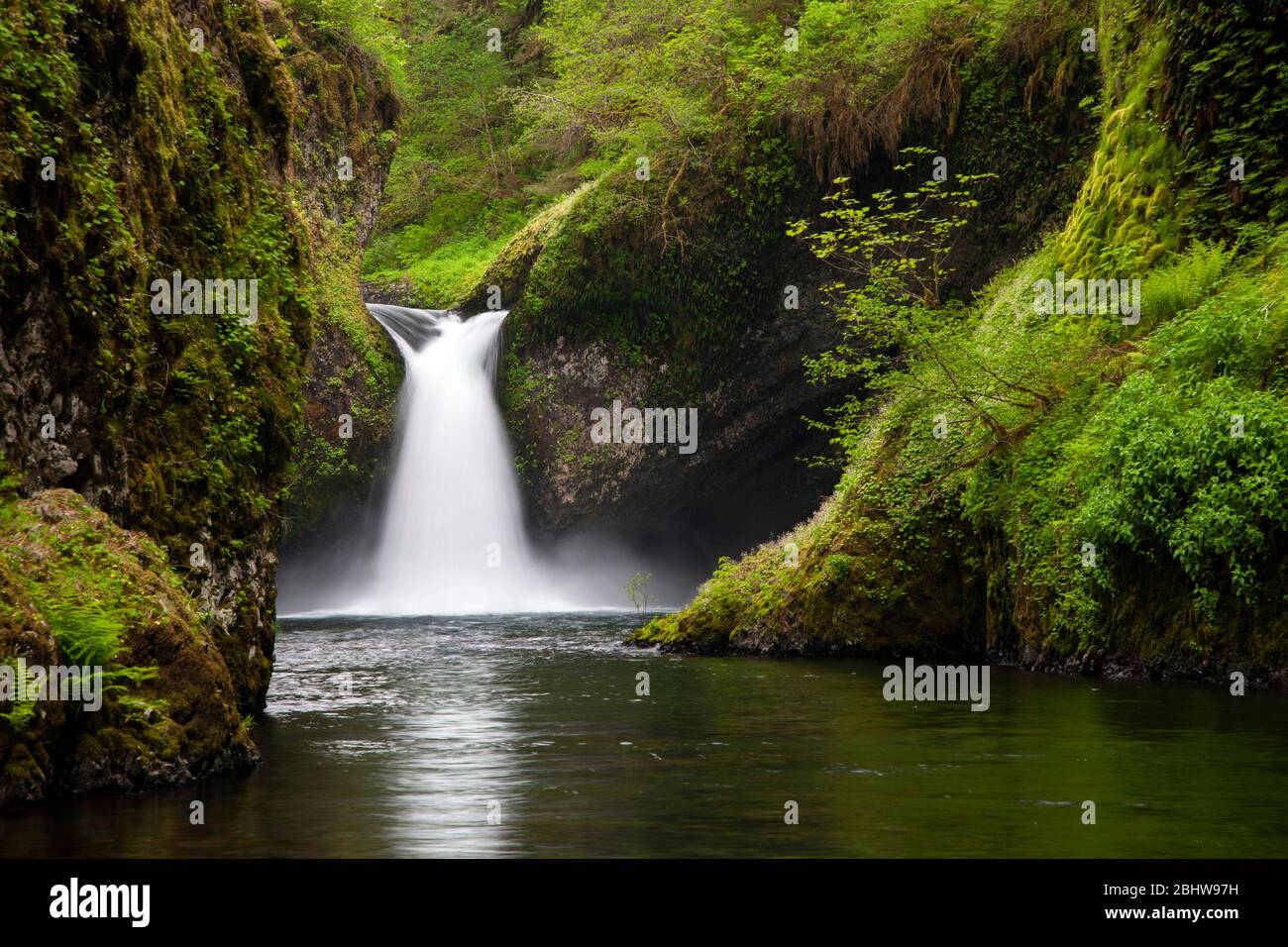 Blick auf die Punchbowl Falls von unten in Eagle Creek im Wald des Columbia River Gorge National Recreation Area in Oregon Stockfoto