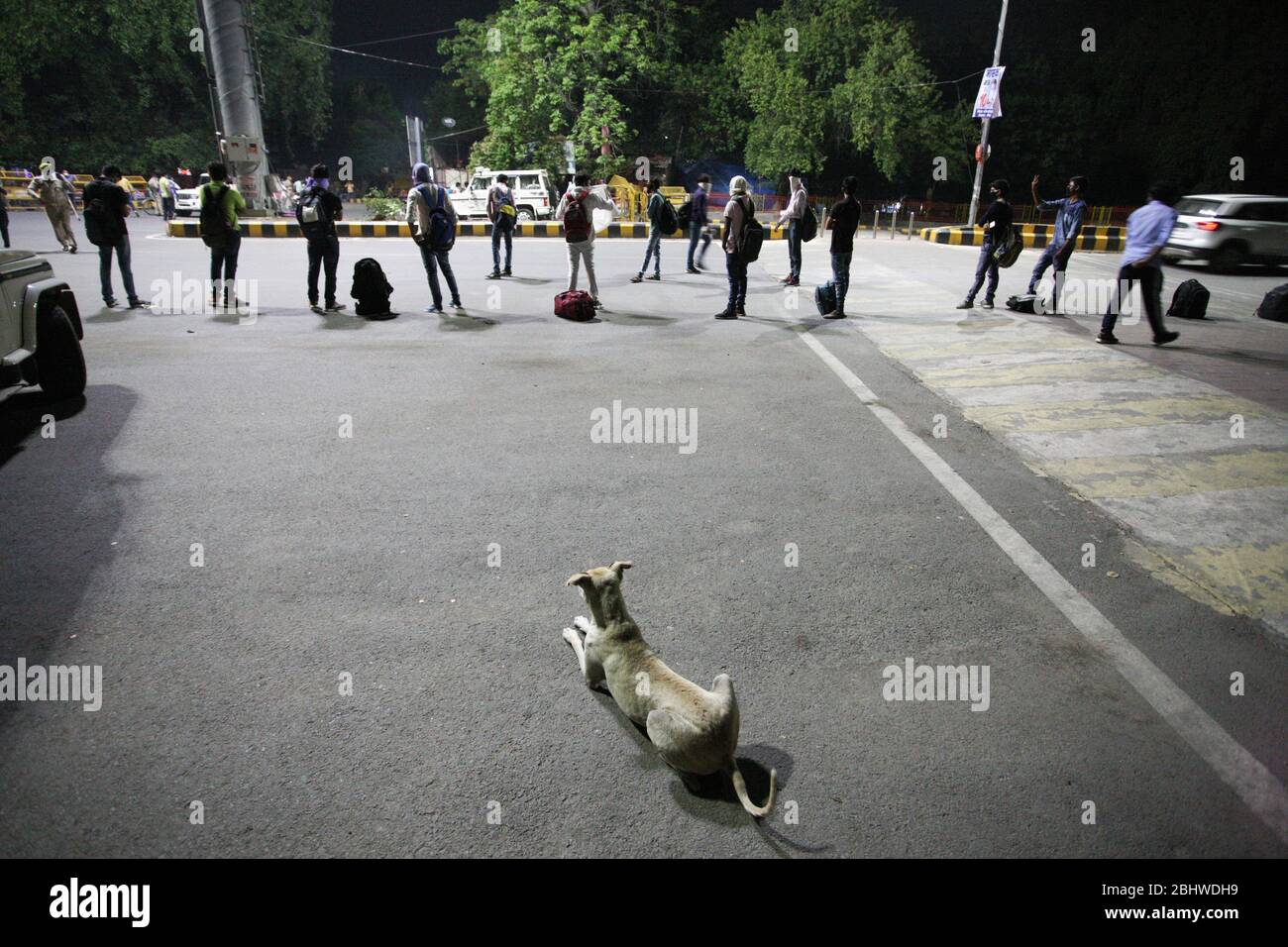 Prayagraj, Uttar Pradesh, Indien. April 2020. Gestrandete Studenten stehen in einer Schlange zur Überprüfung, bevor sie in einen Bus gelangen, da die von der Regierung geplanten Straßenbusse, die Studenten in ihre Heimatstadt schicken, während die Regierung am 28. April 2020 eine landesweite Sperrung als vorbeugende Maßnahme gegen das Corona-Virus COVID-19 in allahabad verhängte. Zehntausende Migranten und ihre Familien zeigten sich in Bussen, die von Indiens bevölkerungsreichster Staat organisiert wurden, um ihre Heimatländer inmitten der Coronavirus-Pandemie zu bekommen.Quelle: Prabhat Kumar Verma/ZUMA Wire/Alamy Live News Stockfoto