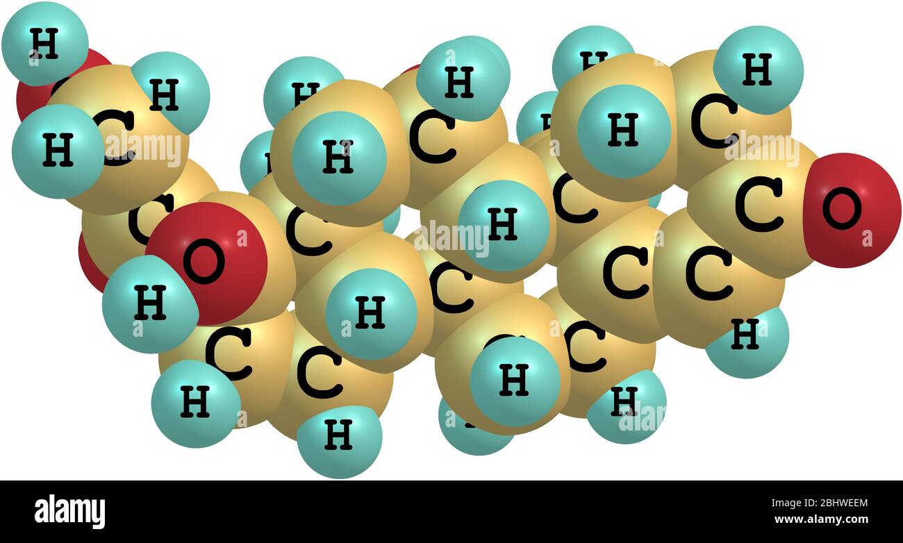 Ein molekulares Modell des Hormons Hydrocortison oder Cortisol. ES wird hauptsächlich von der Nebenniere als Reaktion auf Stress freigesetzt. Isoliert auf Whit Stockfoto