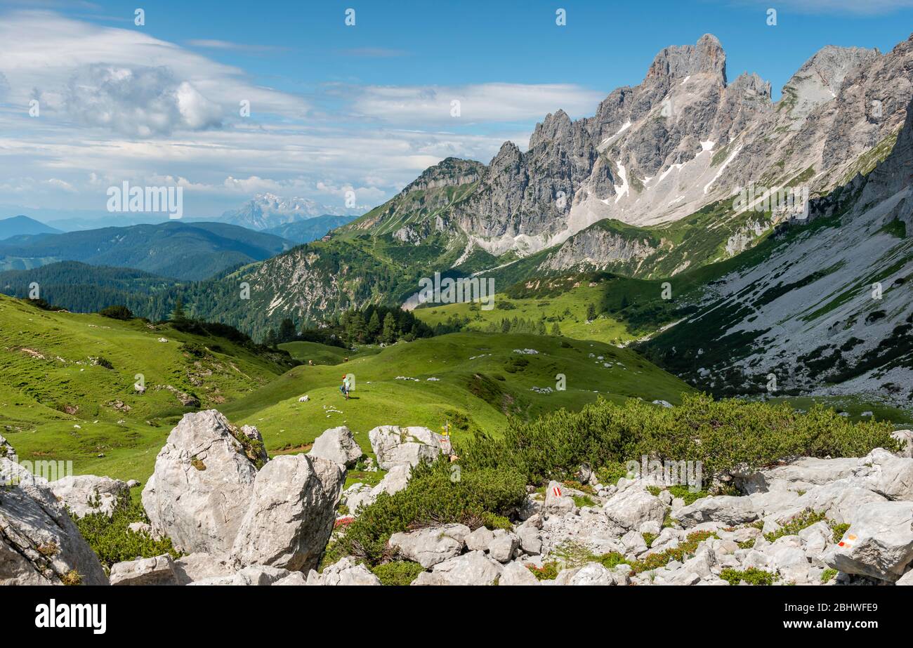 Markierter Wanderweg von Adamekhütte zur Hofpuerglhütte, Bergrücken mit Berggipfel Grosse Bischofsmütze, Salzkammergut, Oberösterreich Stockfoto
