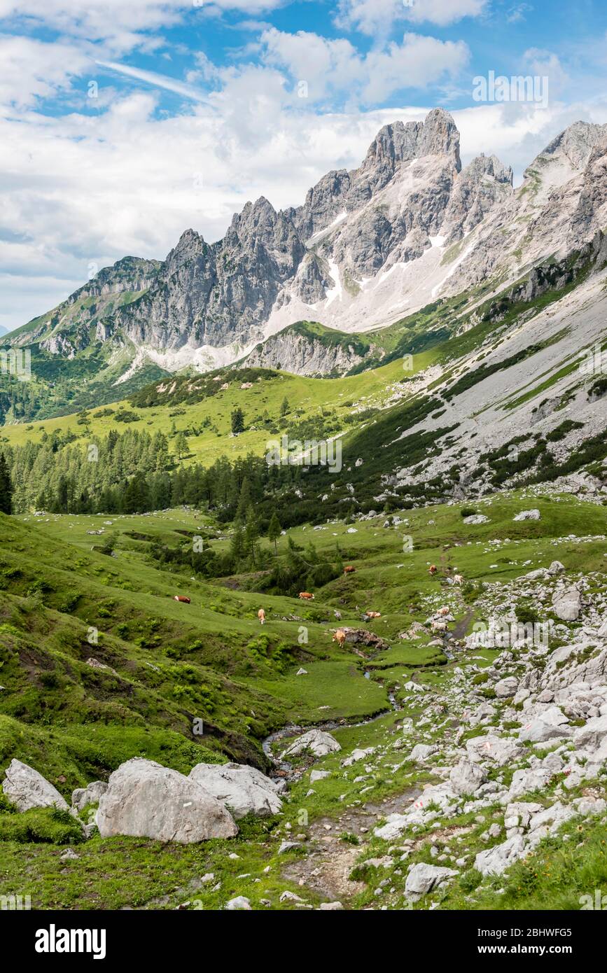 Wanderweg von Adamekhütte zur Hofpuerglhütte, Blick auf Bergrücken mit Berggipfel Grosse Bischofsmütze, Salzkammergut, Oberösterreich Stockfoto
