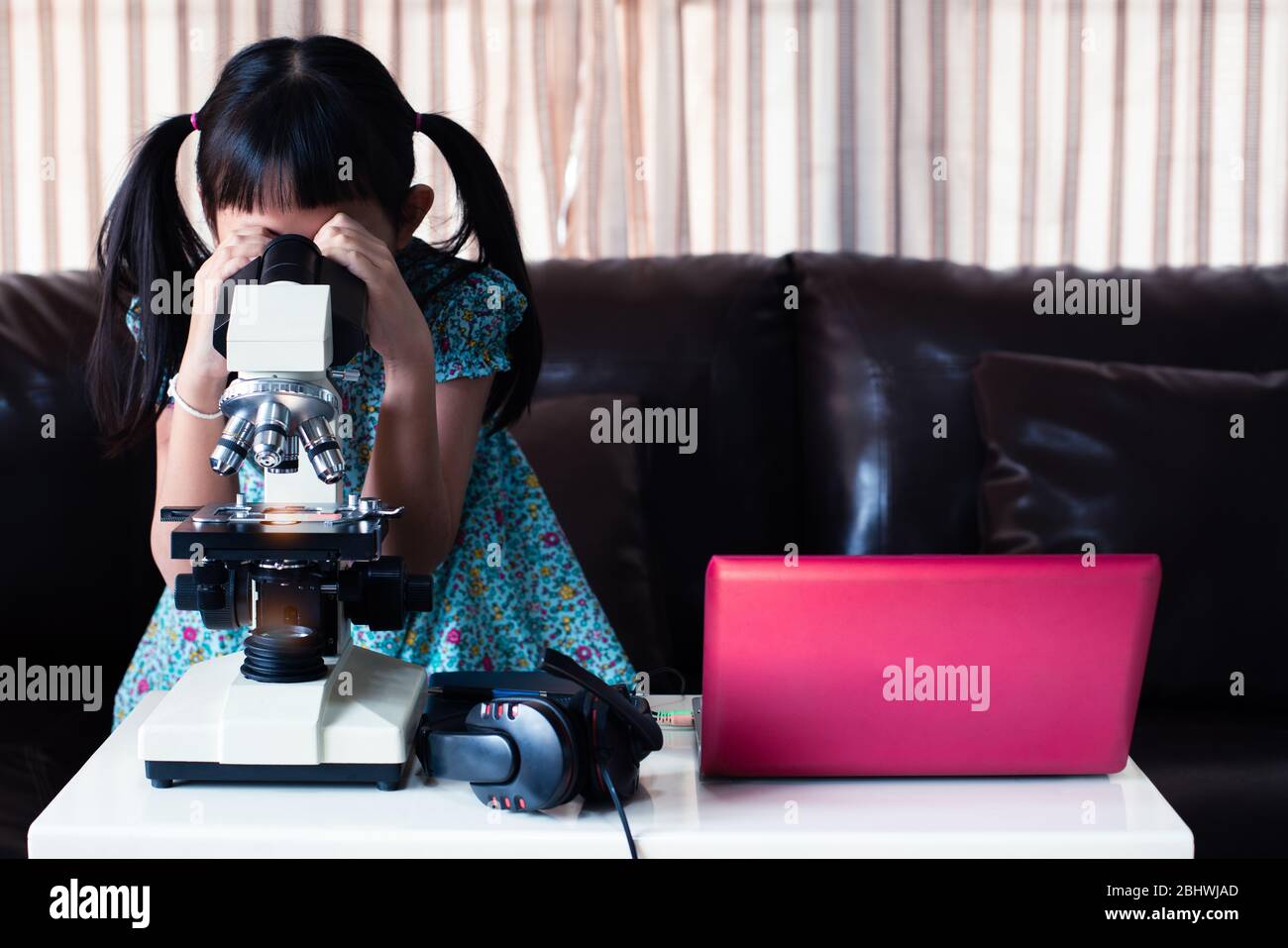 Asiatische kleines Kind Mädchen suchen Mikroskop und online lernen, indem sie Laptop und zu Hause, Fernunterricht Stockfoto