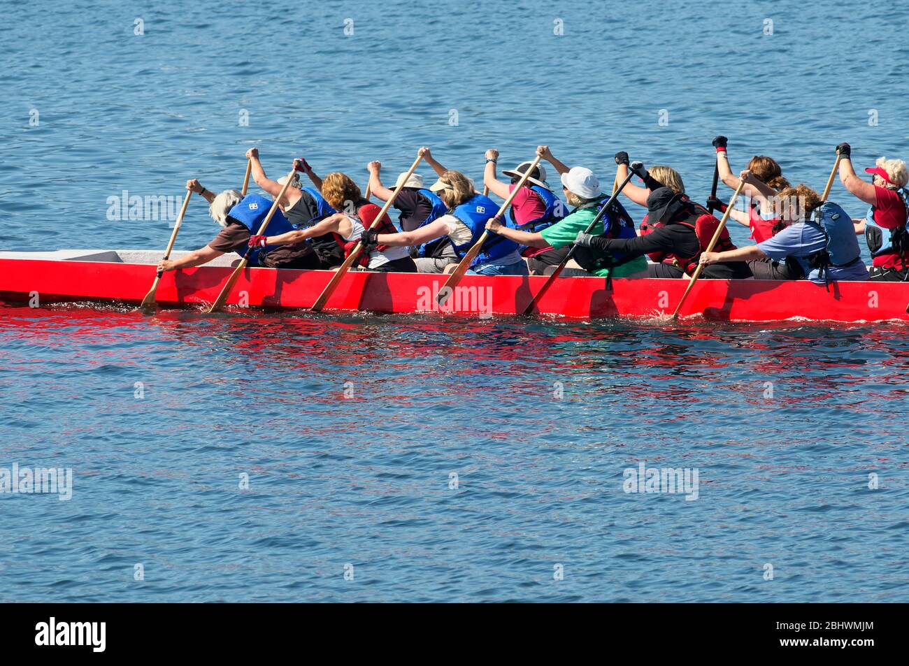Gruppe von Frauen, die ein langes rotes Kanu paddeln. Vancouver Island, B. C., Kanada. Stock Foto. Stockfoto