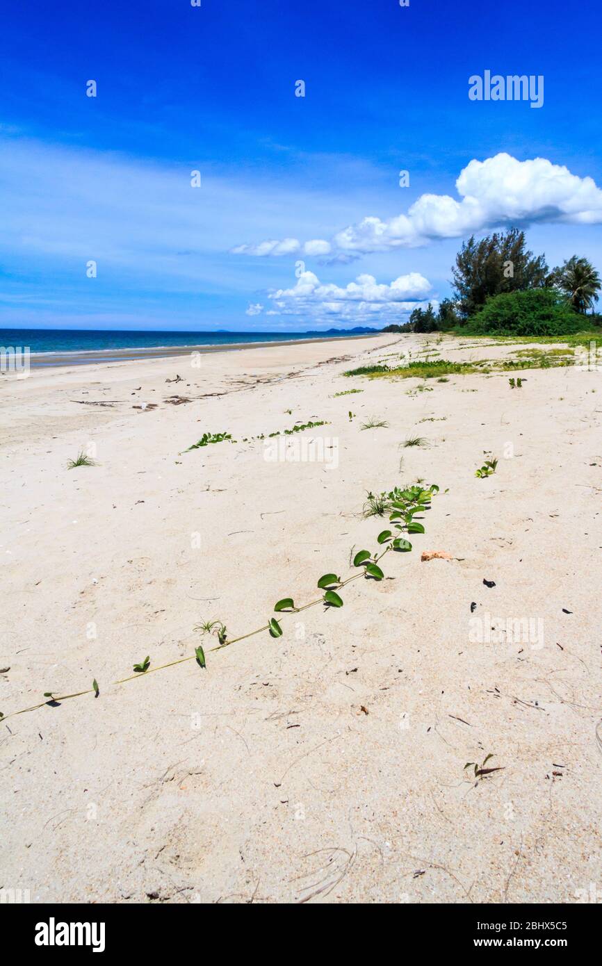 Langer, unberührter Strand mit weißem Sand in der Provinz Chumphon, Thailand Stockfoto