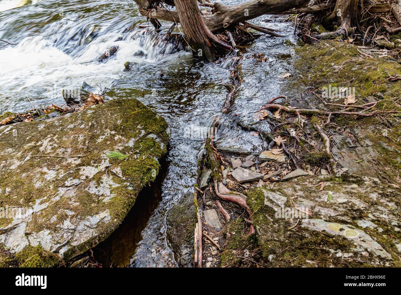 Cordova Falls Conservation Area Belmont Methuen Havelock Ontario Kanada in Sommer Stockfoto