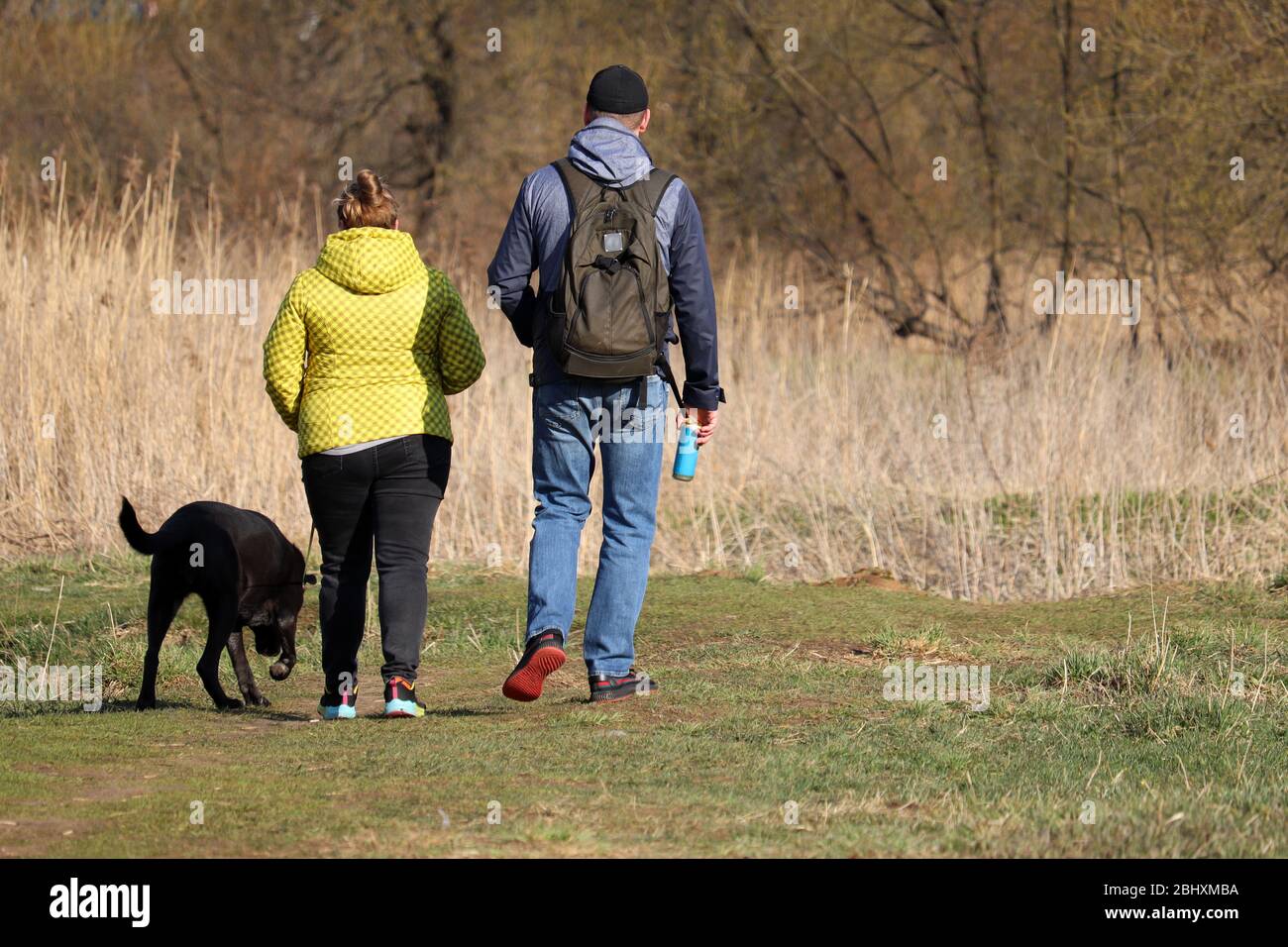 Ein Paar, das einen Hund an der Leine im Frühlingswald spazieren geht. Pflege für ein Haustier während der Coronavirus-Pandemie, Freizeit in der Natur Stockfoto
