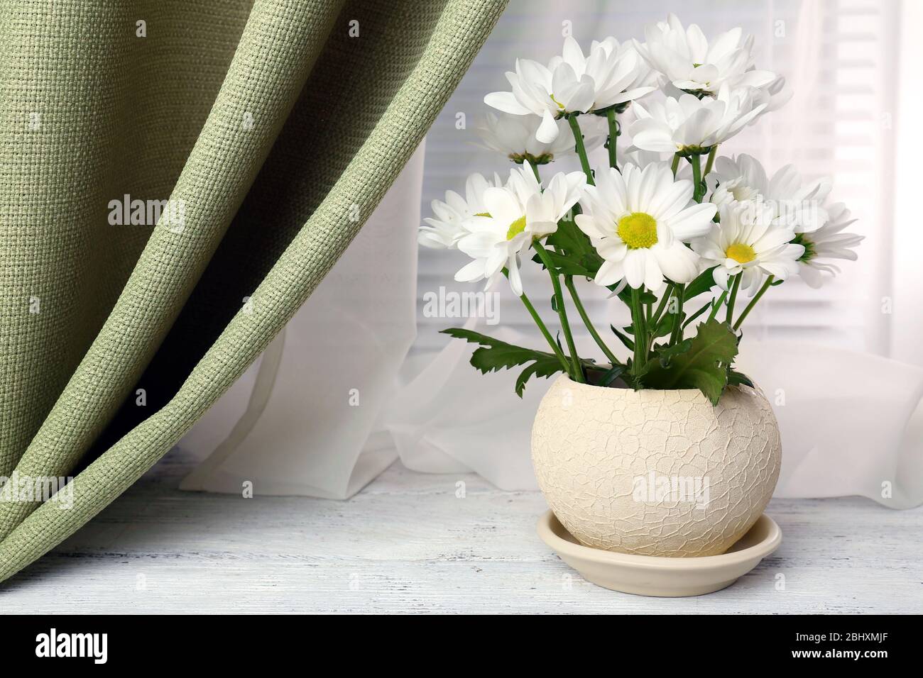 Chrysantheme im topf Fotos und Bildmaterial in hoher Auflösung Alamy