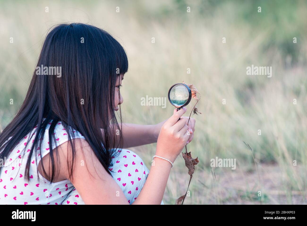Glücklich asiatische Kind Mädchen erkunden Natur mit Lupe. Stockfoto