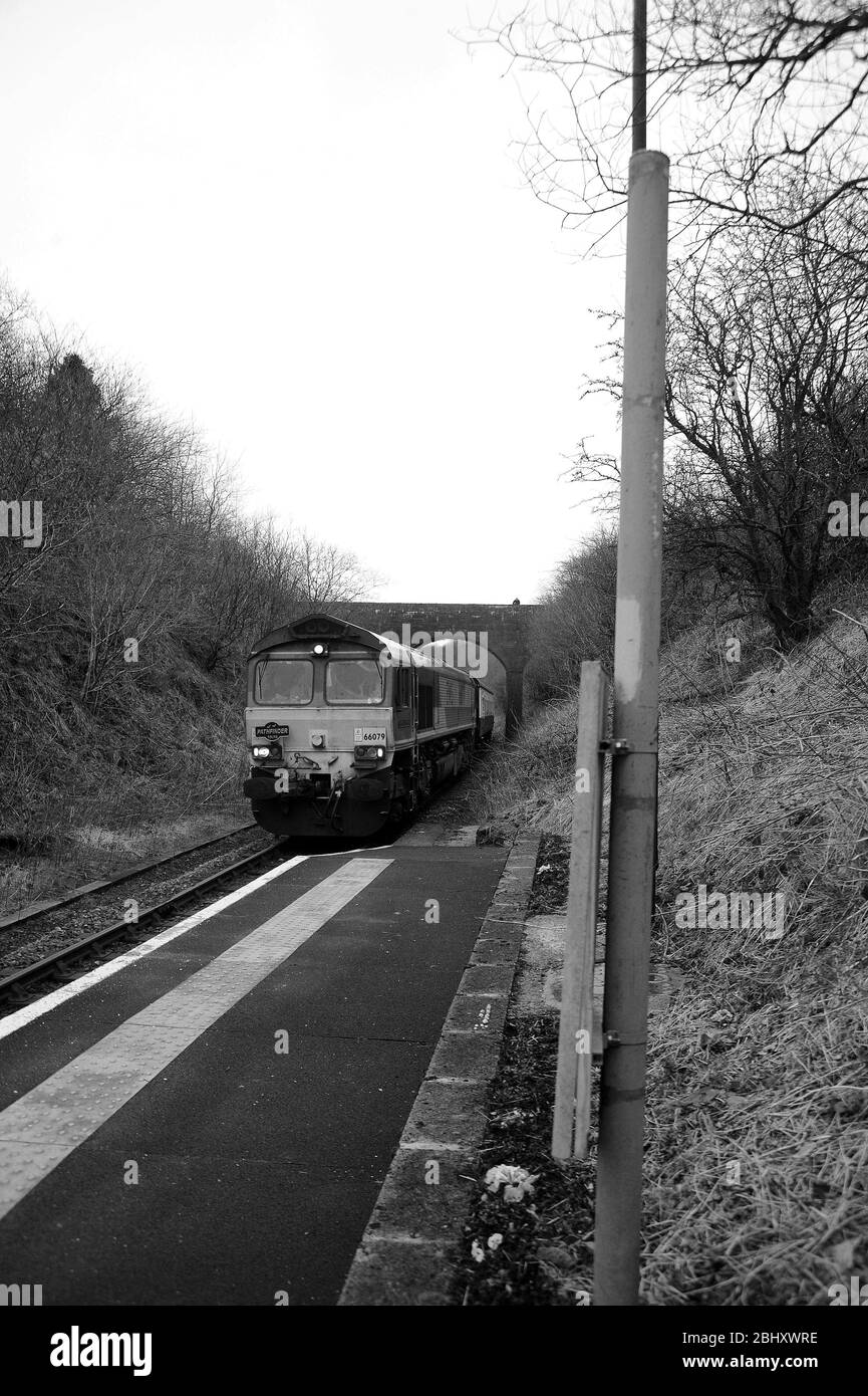 '66079 James Nightall GC' bei Sugar Loaf Halt mit der 'Heart of Wales Wanderer' Railtour für Pathfinder Tours. Stockfoto