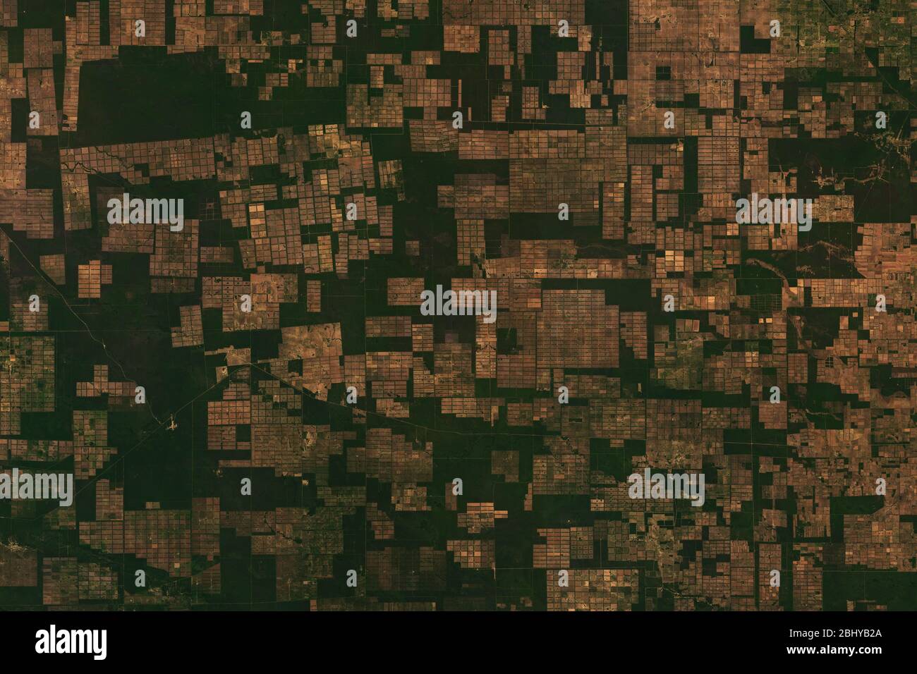 Hochauflösende Satellitenaufnahme des Entwaldungsmusters in Gran Chaco, Paraguay - enthält modifizierte Copernicus Sentinel-Daten (2020) Stockfoto