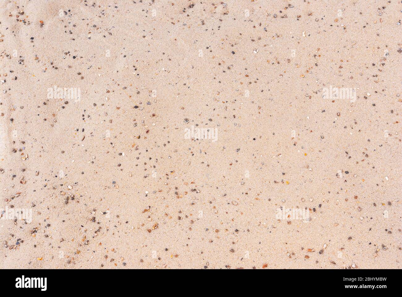 Hintergrund von feinkörnigem Sand gemischt mit grobkörnigem Sand. Stockfoto