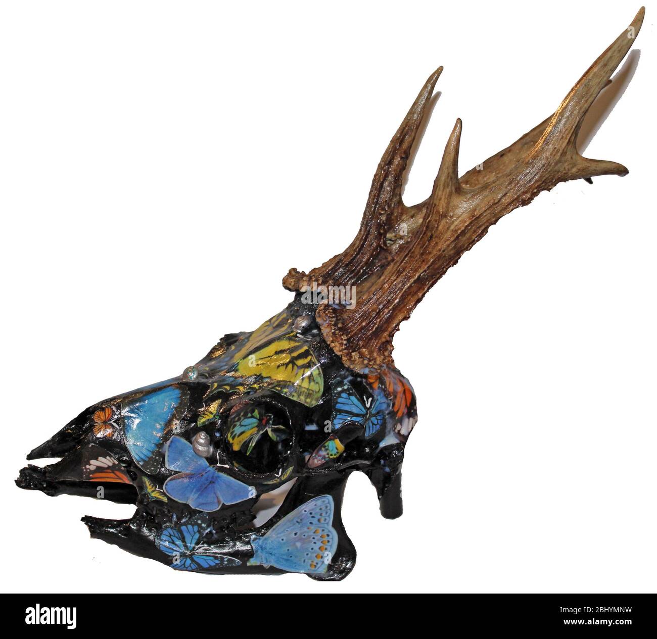 Dekorierter Reh-Totenkopf Stockfoto