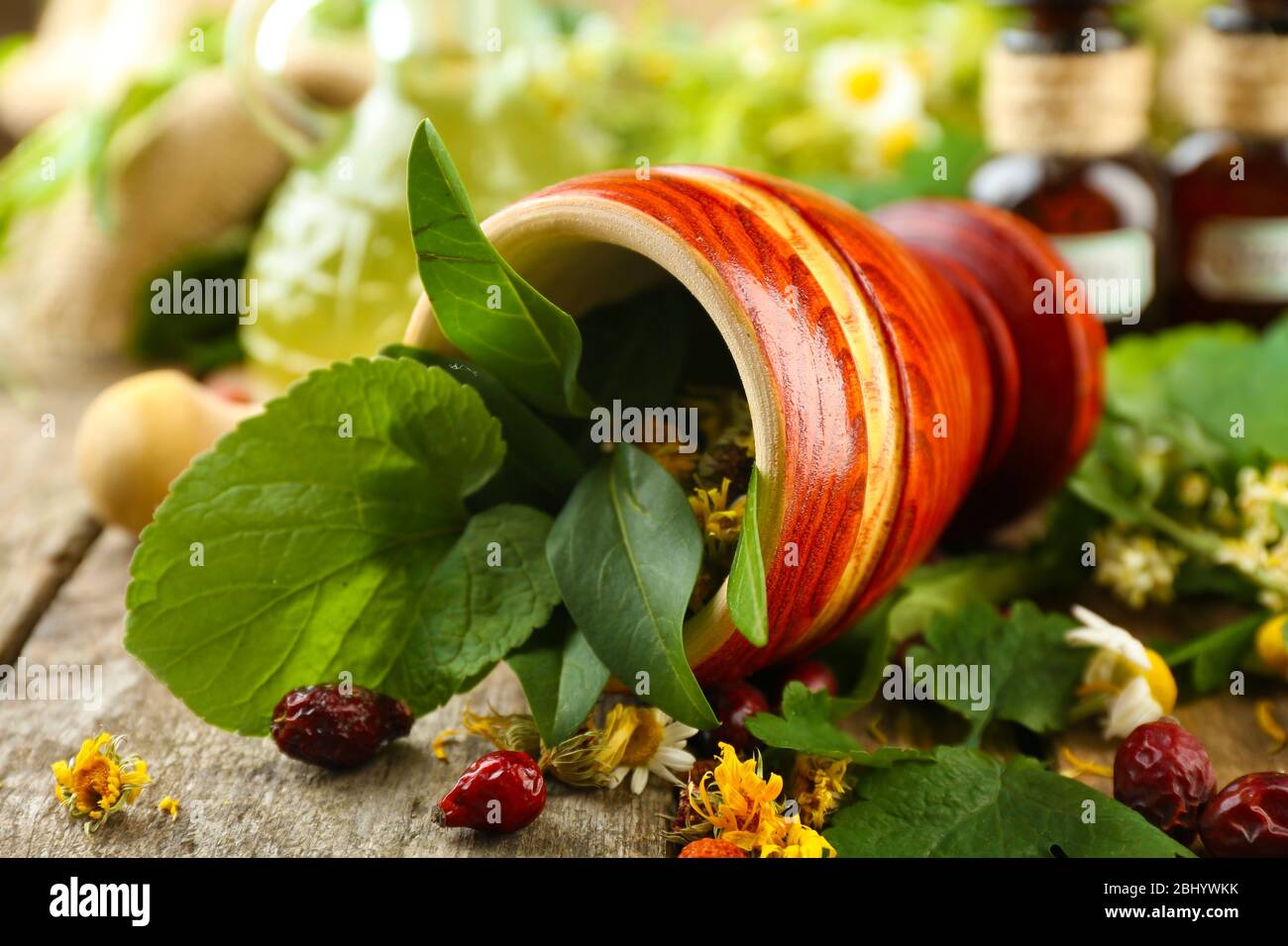 Kräuter, Beeren und Blumen mit Mörtel, Holz Tisch Hintergrund Stockfoto