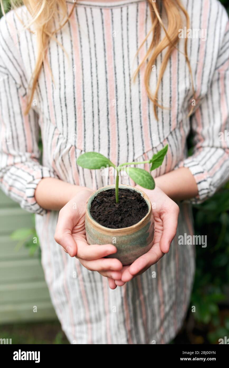Anonymes junges Mädchen, das Pflanze auf Hände konzentriert. Stockfoto