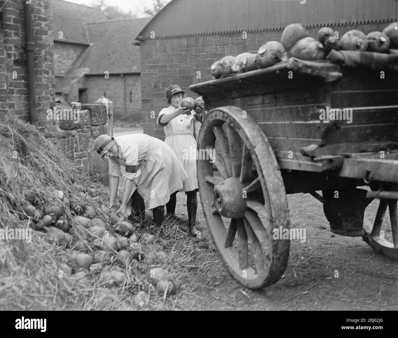 Mädchen im Nationaldienst auf dem Duke of Westminsters Estate im Eaton Park, Chester - 17. November 1917 Stockfoto