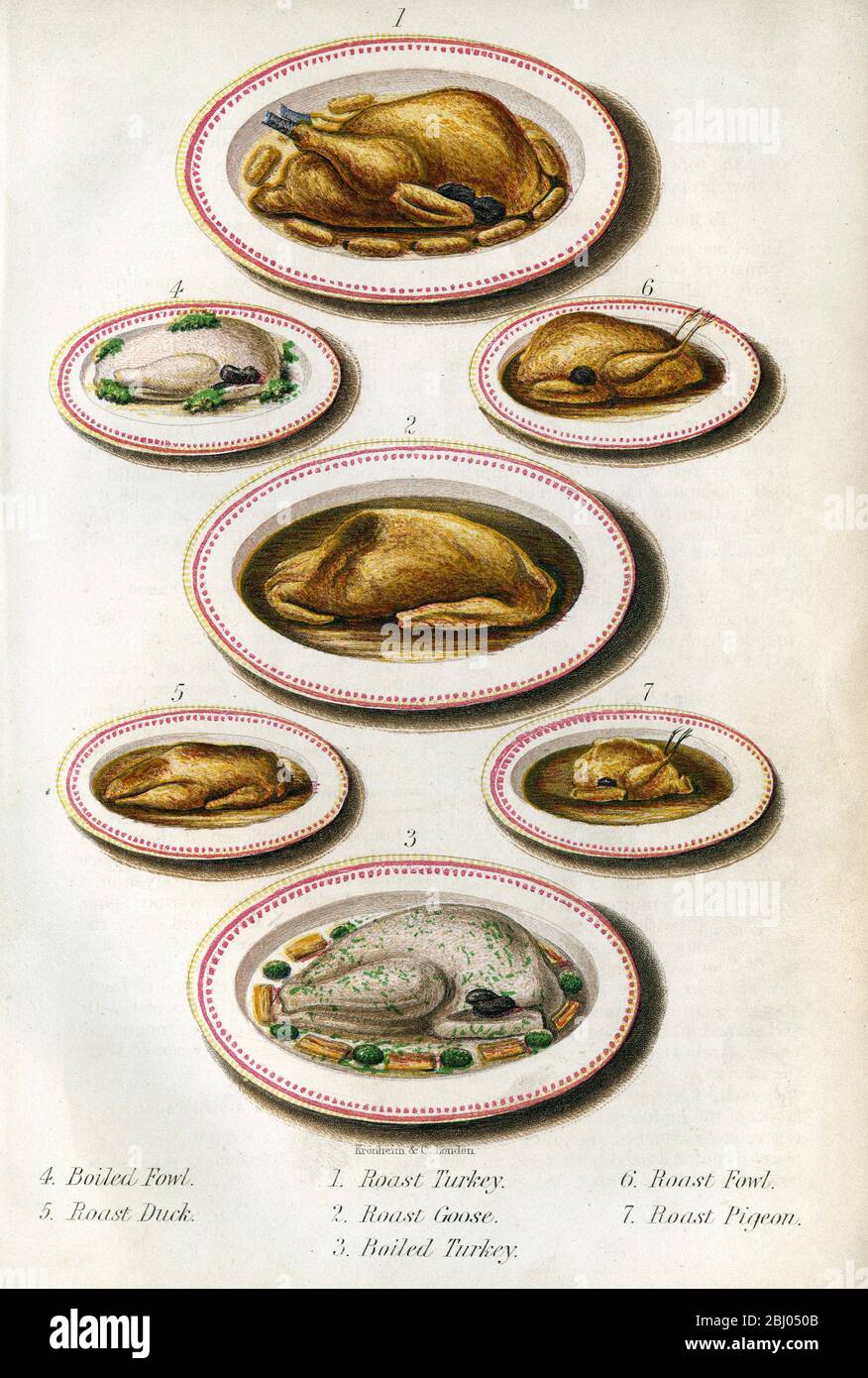 Kronheim & Co. London Verschiedene Geflügelgerichte: - 1.Roast Turkey - 2. Gebratene Gans - 3. Gekochter Truthahn - 4. Gekochtes Geflügel - 5. Roat Duck - 6. Gebratenes Geflügel - 7. Roat-Taube Stockfoto