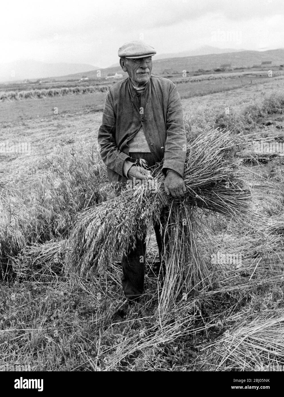 Vierundneunzig Jahre alt - und bei der Ernte mithelfen. - Herr Peter Steele ist 94 Jahre alt und arbeitet noch auf dem Hof in Süd-Uist, Äußere Hebriden. Er wird in diesem Bild gesehen, das den gezypten Roggen in einer Garbe zusammenbindet. - wie viele Insulaner wurde er in dieser Gegend geboren und gezüchtet und führte nach seinem Vater weiter. Der Hof ist bereits an Herrn Steeles Sohn übergeben worden - und jetzt hilft er ihm, ihn zu arbeiten. - 15/9/60 Stockfoto