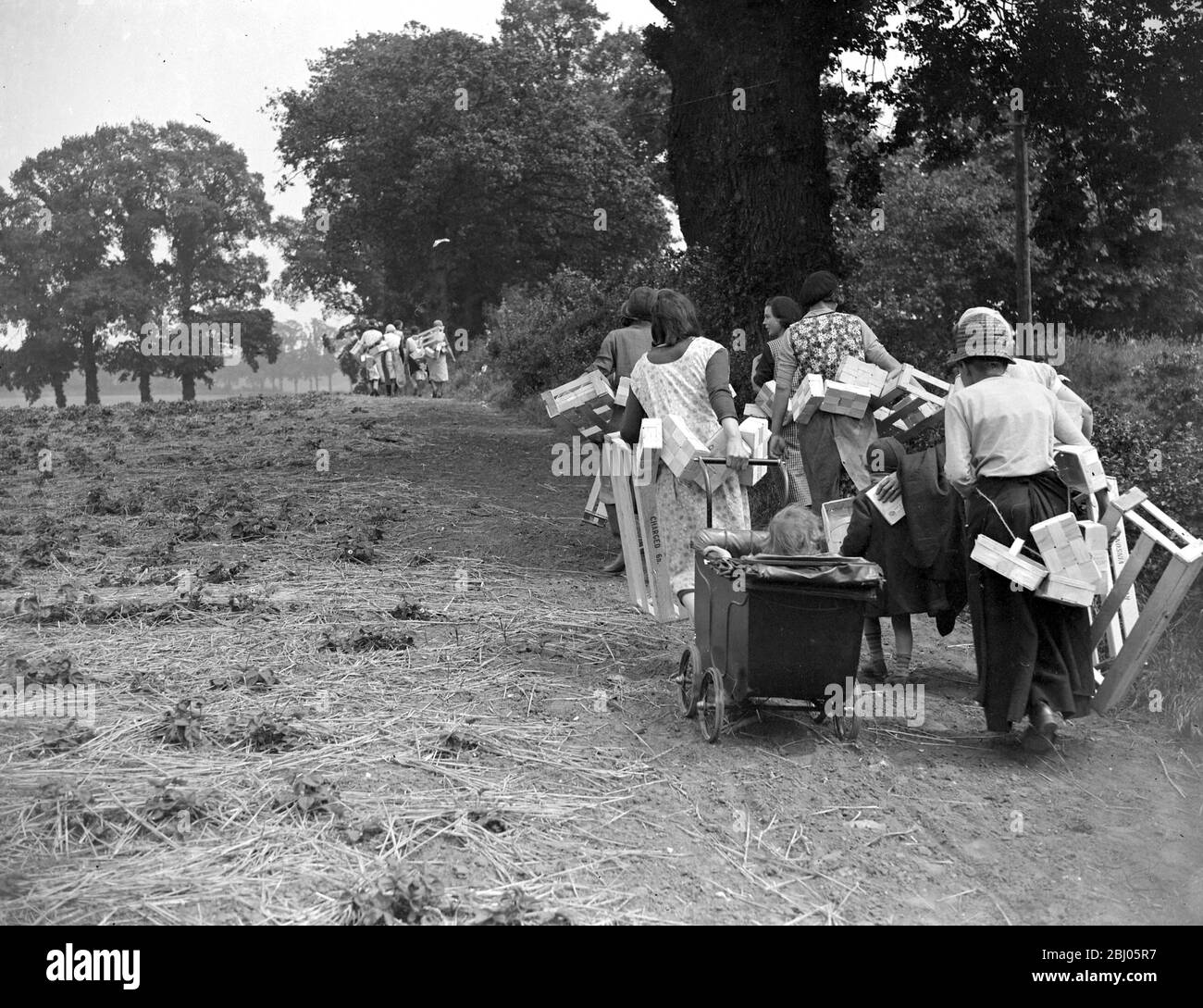 Erdbeerarbeiter früh am Morgen. - 1934 Stockfoto