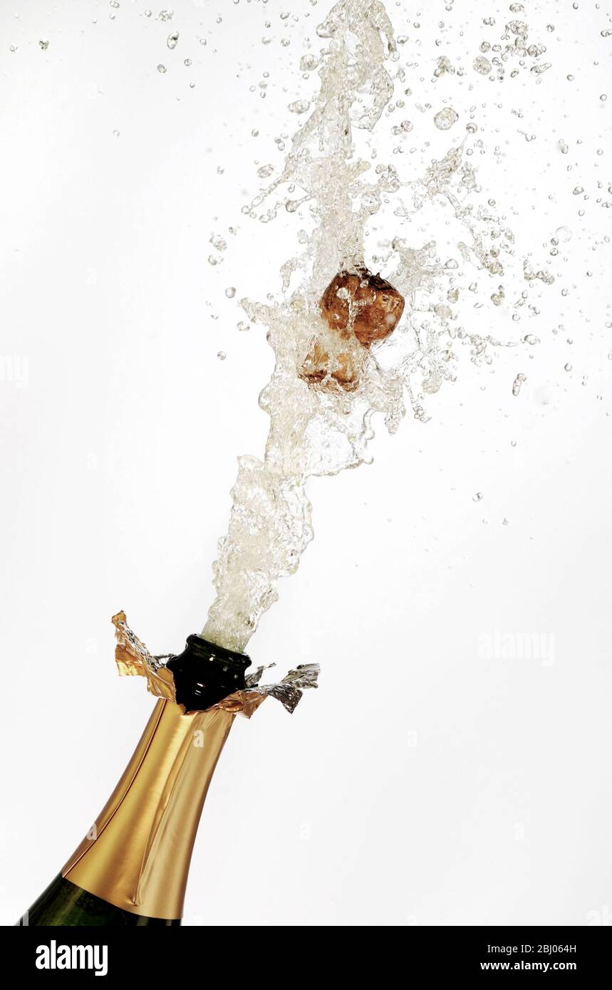 Explodierende Champagnerflasche mit Kork und Schaumstoff auf weißem Hintergrund Stockfoto