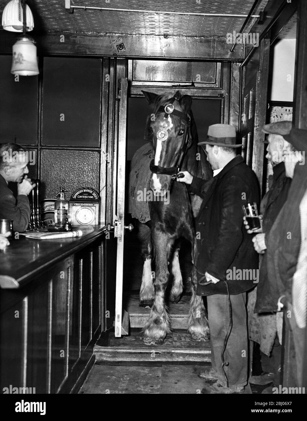 Ingwer, das Pferd wird durch die öffentliche Bar zum Stall im New Inn, Monkton, Kent geführt. 1951 - Stockfoto