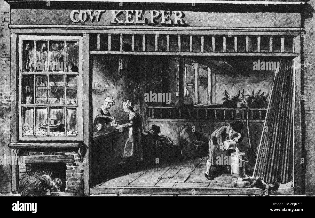 Ein Milchgeschäft in der Golden Lane 1825 . Die Kühe werden auf dem Gelände, das zur Straße hin offen ist, gehalten und gemolken Stockfoto