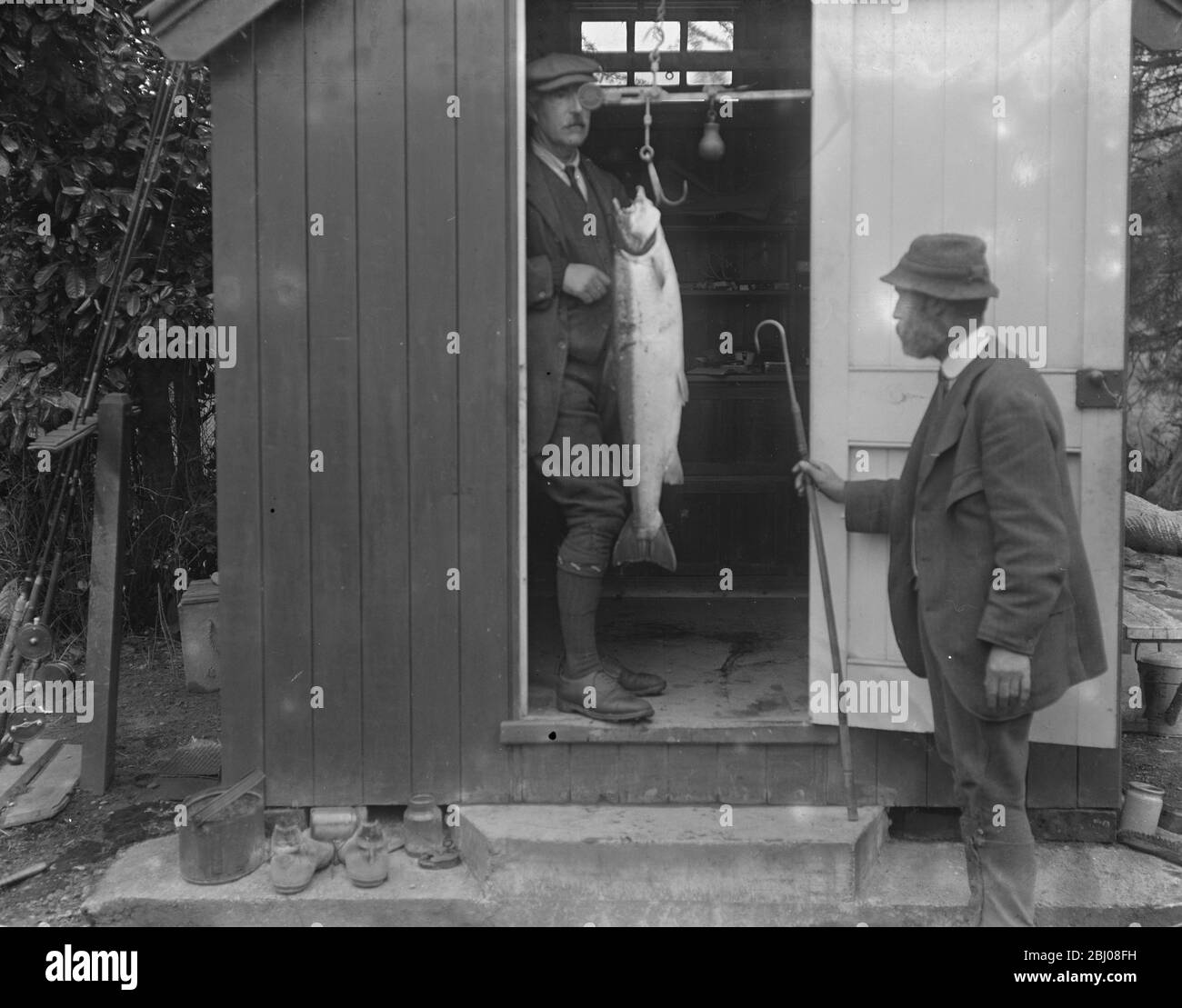 Lachsfischen auf dem Wye in Hampton Bishop. - Wiegen der Fische auf den Stahlhöfen ' etwas über 20lbs ' - 30 September 1922 Stockfoto
